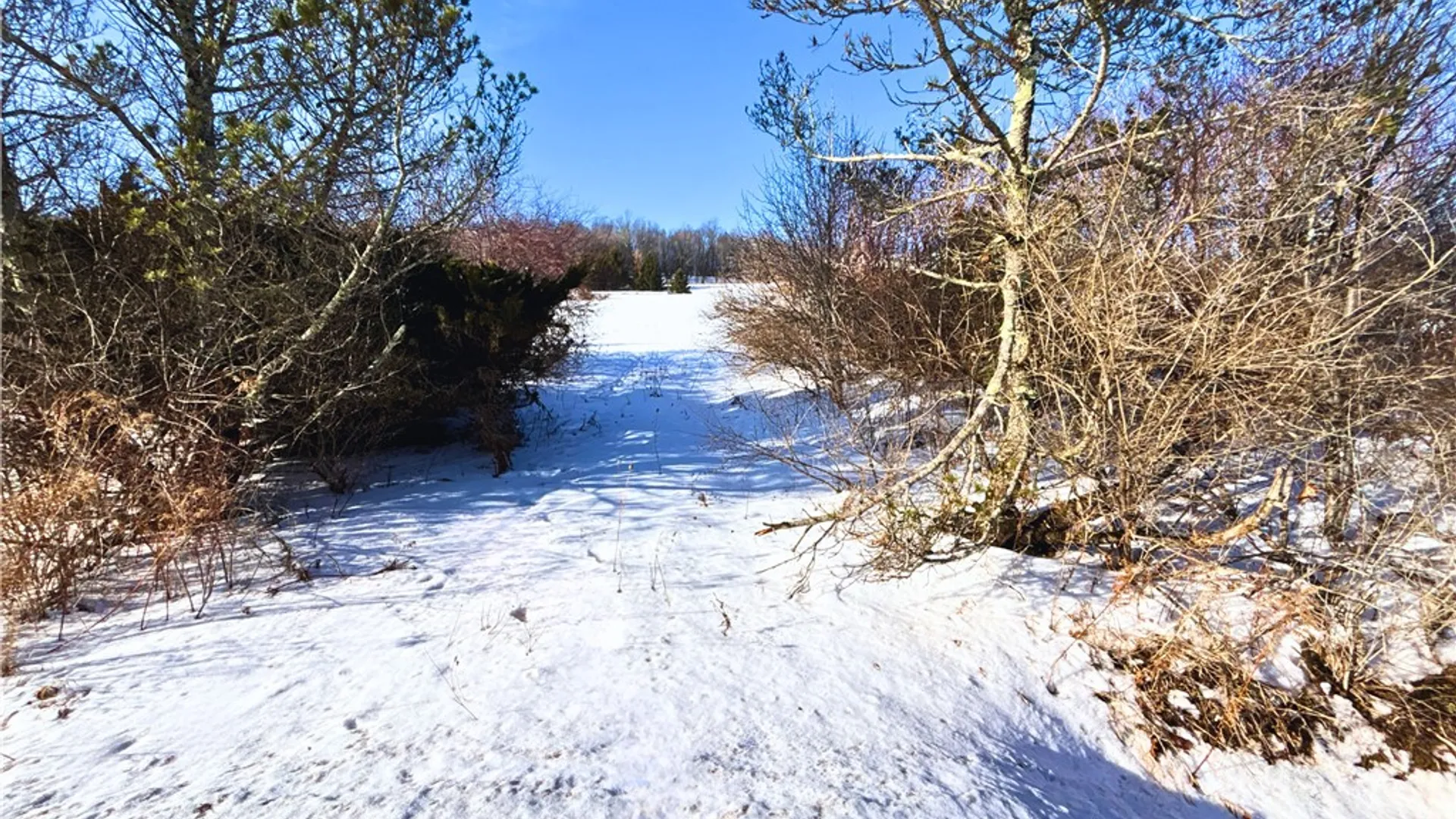 Property at Lot 41 Hamden Hill Road, Hamden, NY 13782 6