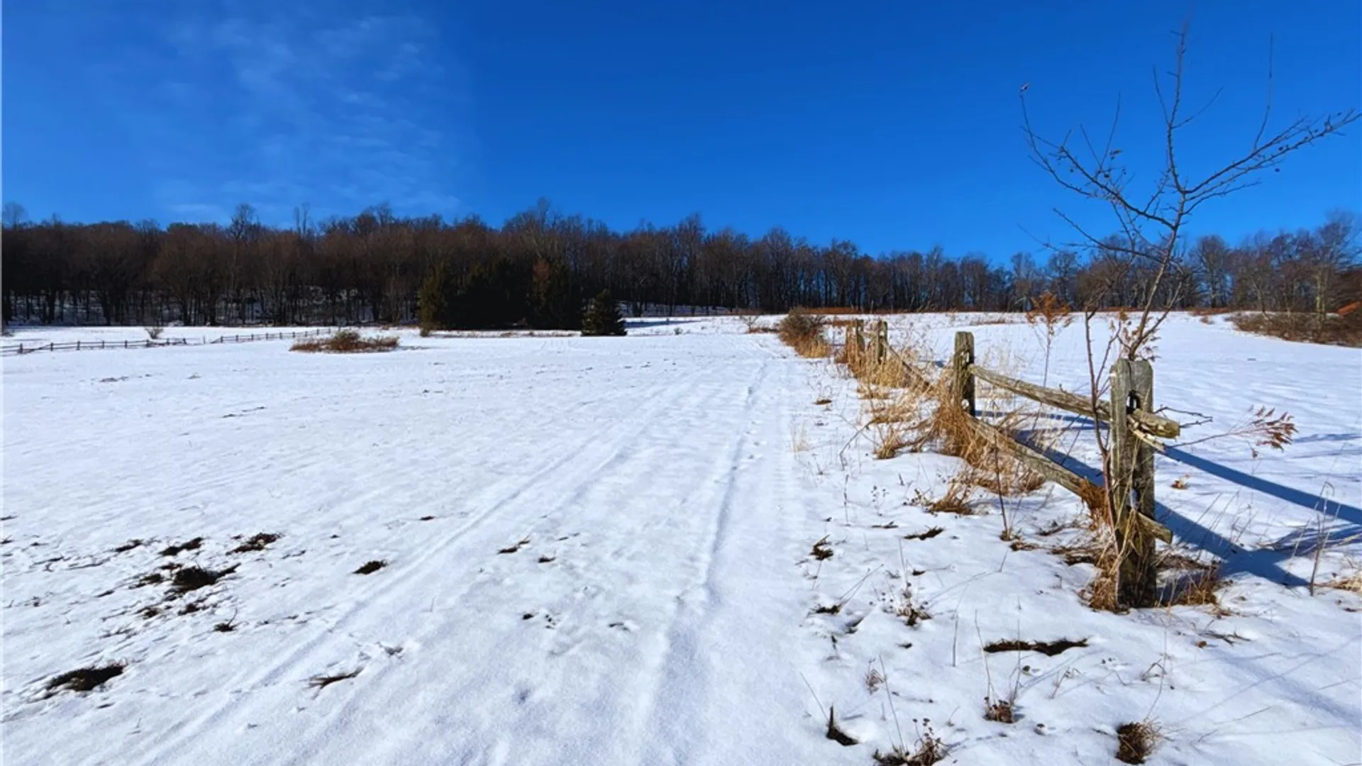 Property at Lot 41 Hamden Hill Road, Hamden, NY 13782 8