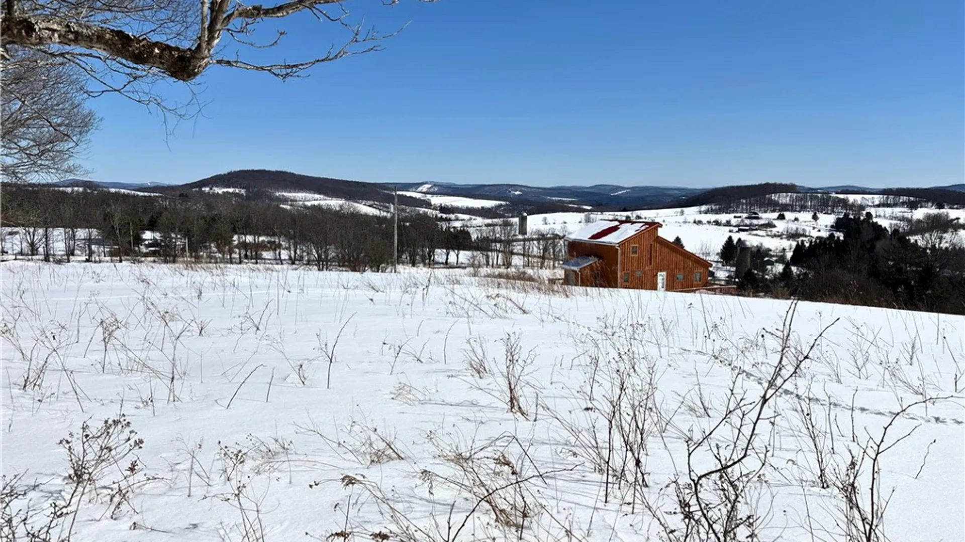 Property at Lot 42 Hamden Hill Road, Hamden, NY 13782 10