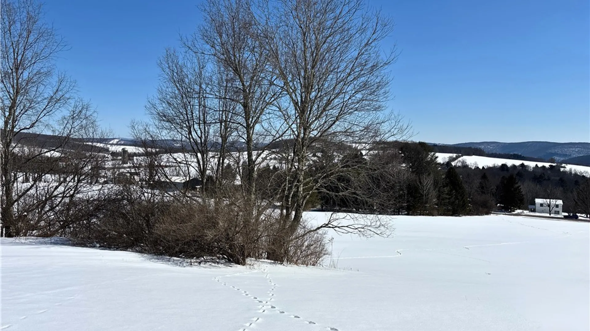 Property at Lot 42 Hamden Hill Road, Hamden, NY 13782 11