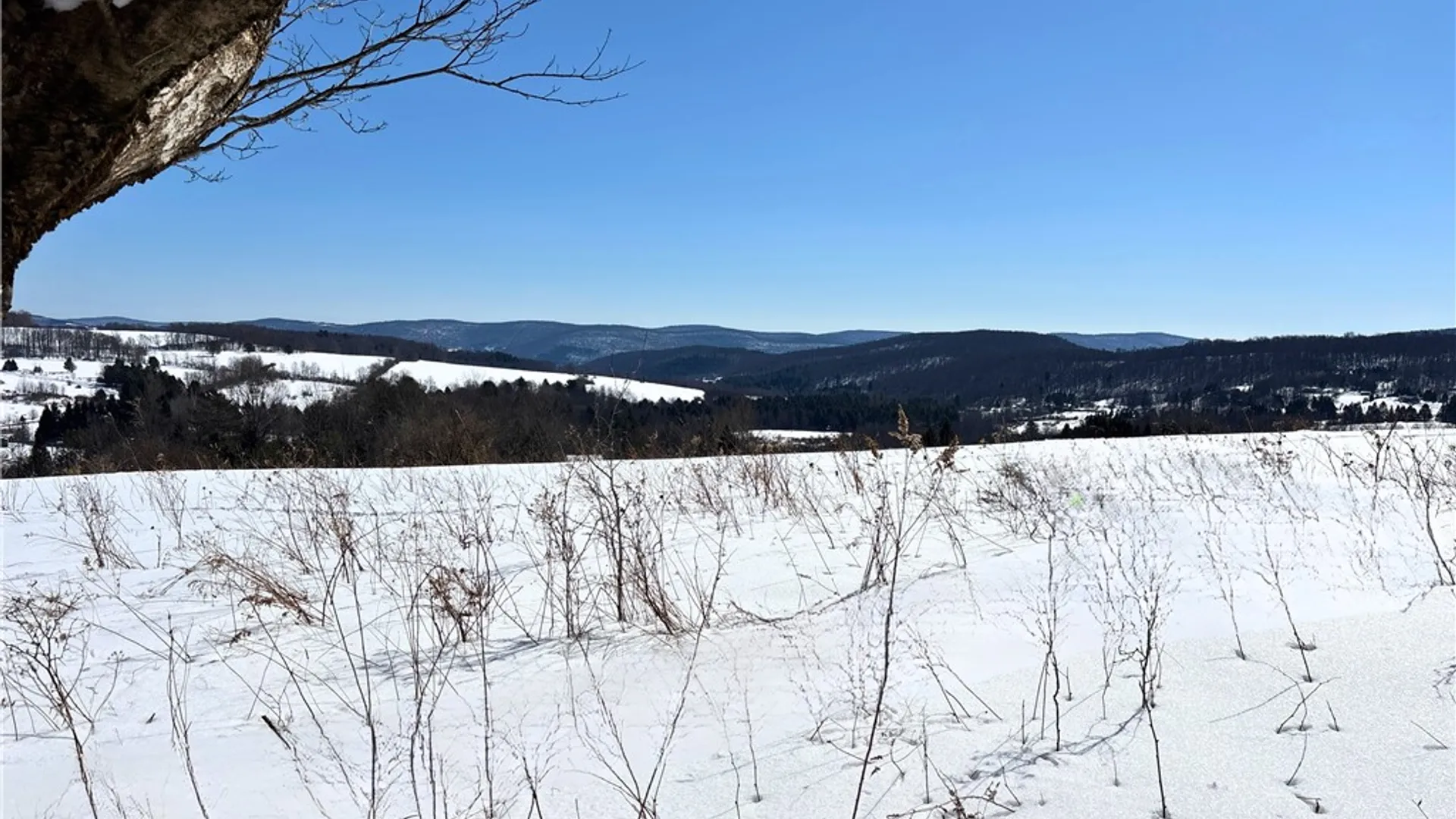 Property at Lot 42 Hamden Hill Road, Hamden, NY 13782 12