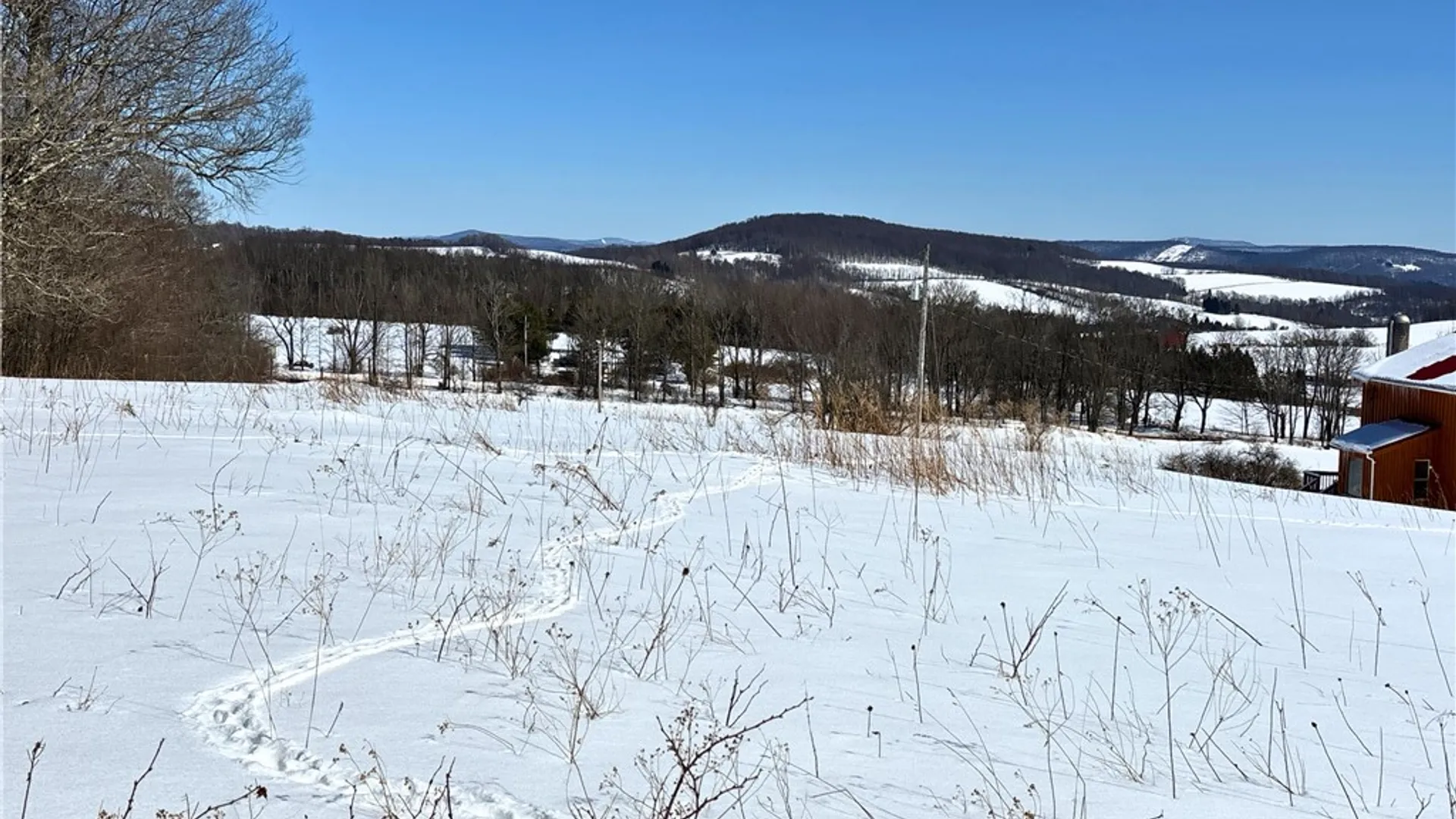 Property at Lot 42 Hamden Hill Road, Hamden, NY 13782 13