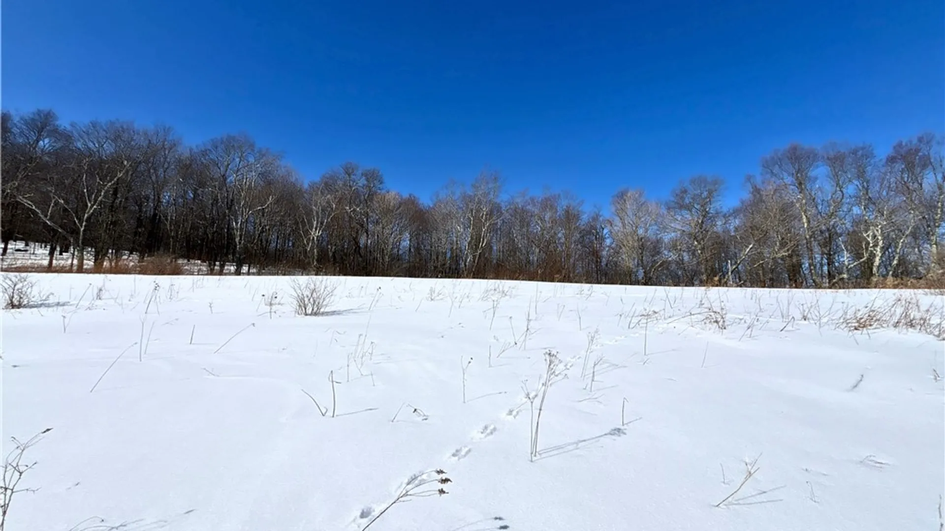 Property at Lot 42 Hamden Hill Road, Hamden, NY 13782 14