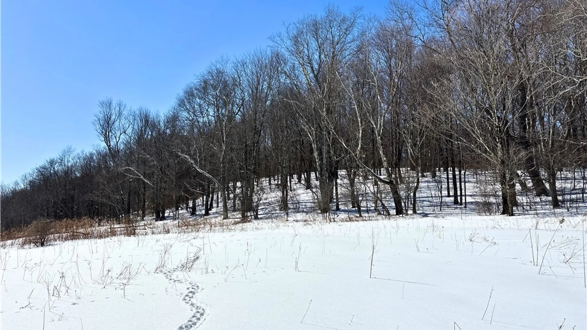 Property at Lot 42 Hamden Hill Road, Hamden, NY 13782 15