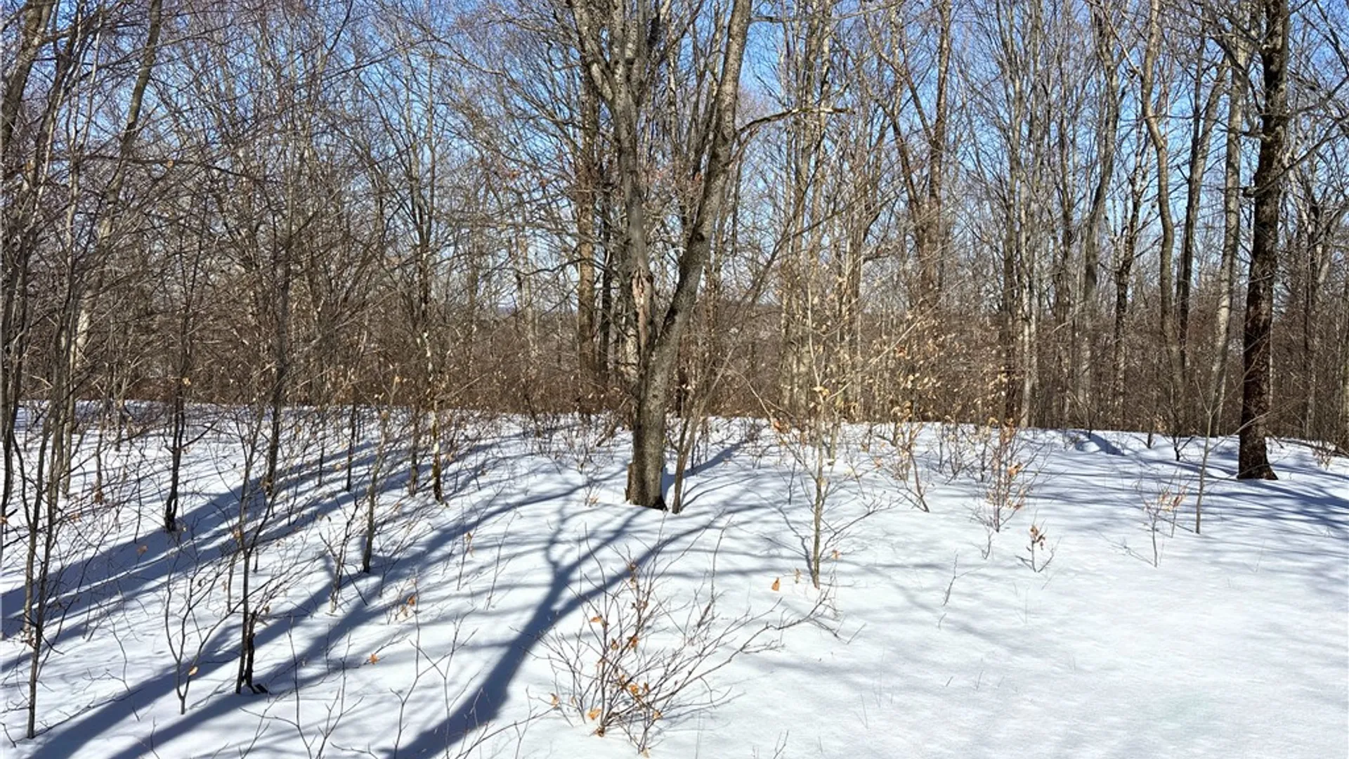 Property at Lot 42 Hamden Hill Road, Hamden, NY 13782 16