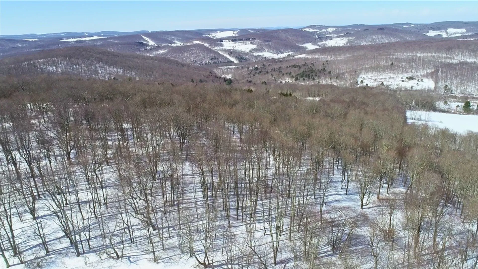 Property at Lot 42 Hamden Hill Road, Hamden, NY 13782 17