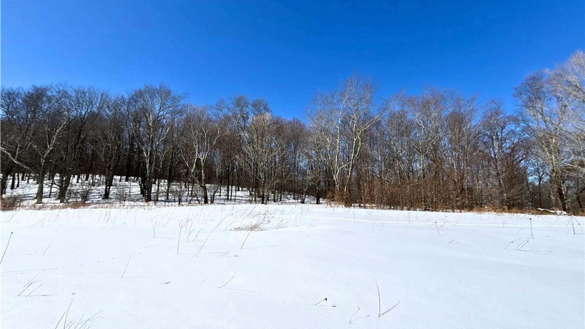 Property at Lot 42 Hamden Hill Road, Hamden, NY 13782 23