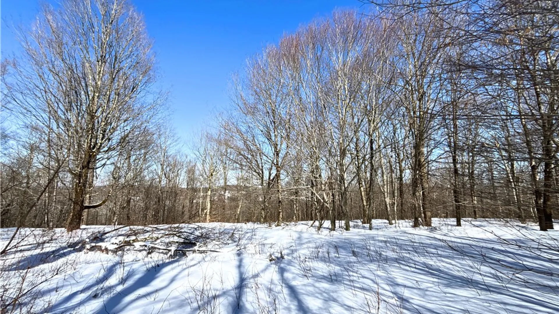 Property at Lot 42 Hamden Hill Road, Hamden, NY 13782 24