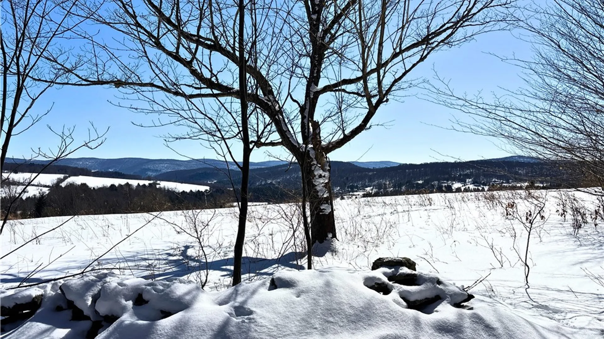 Property at Lot 42 Hamden Hill Road, Hamden, NY 13782 25