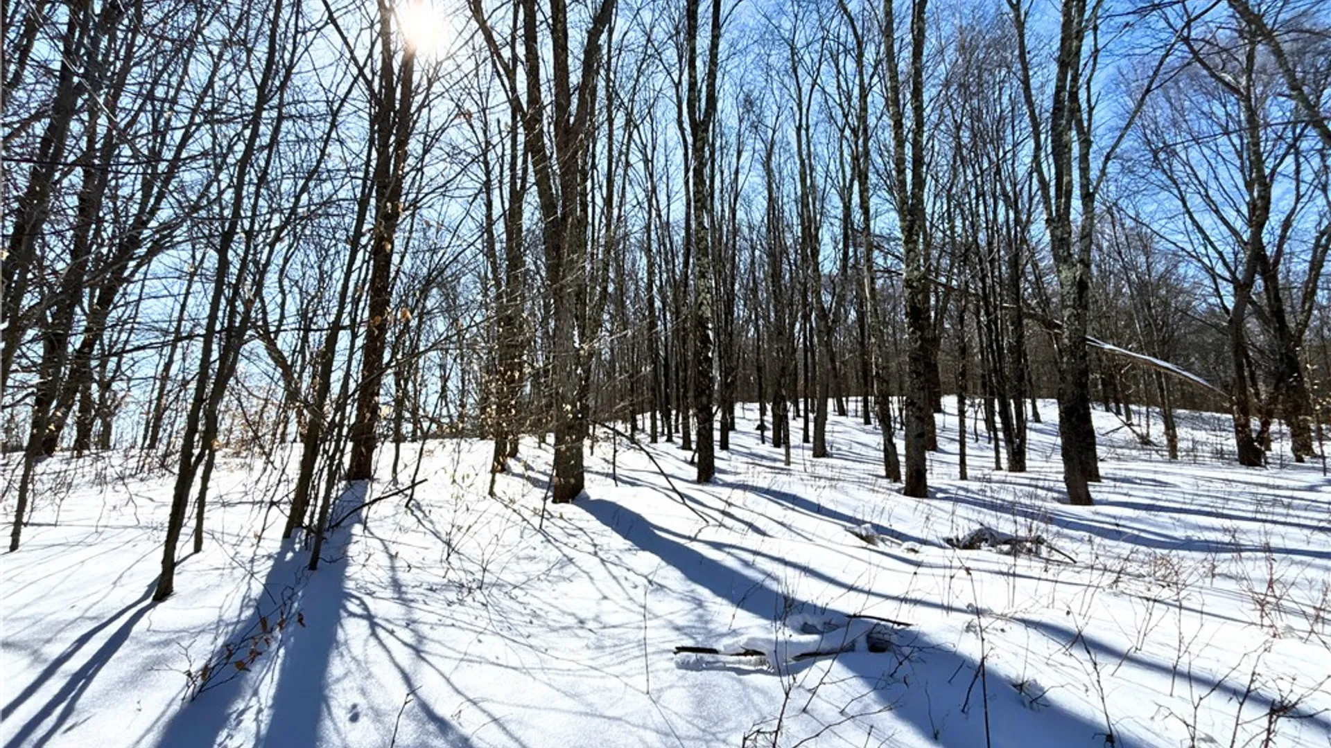 Property at Lot 42 Hamden Hill Road, Hamden, NY 13782 27