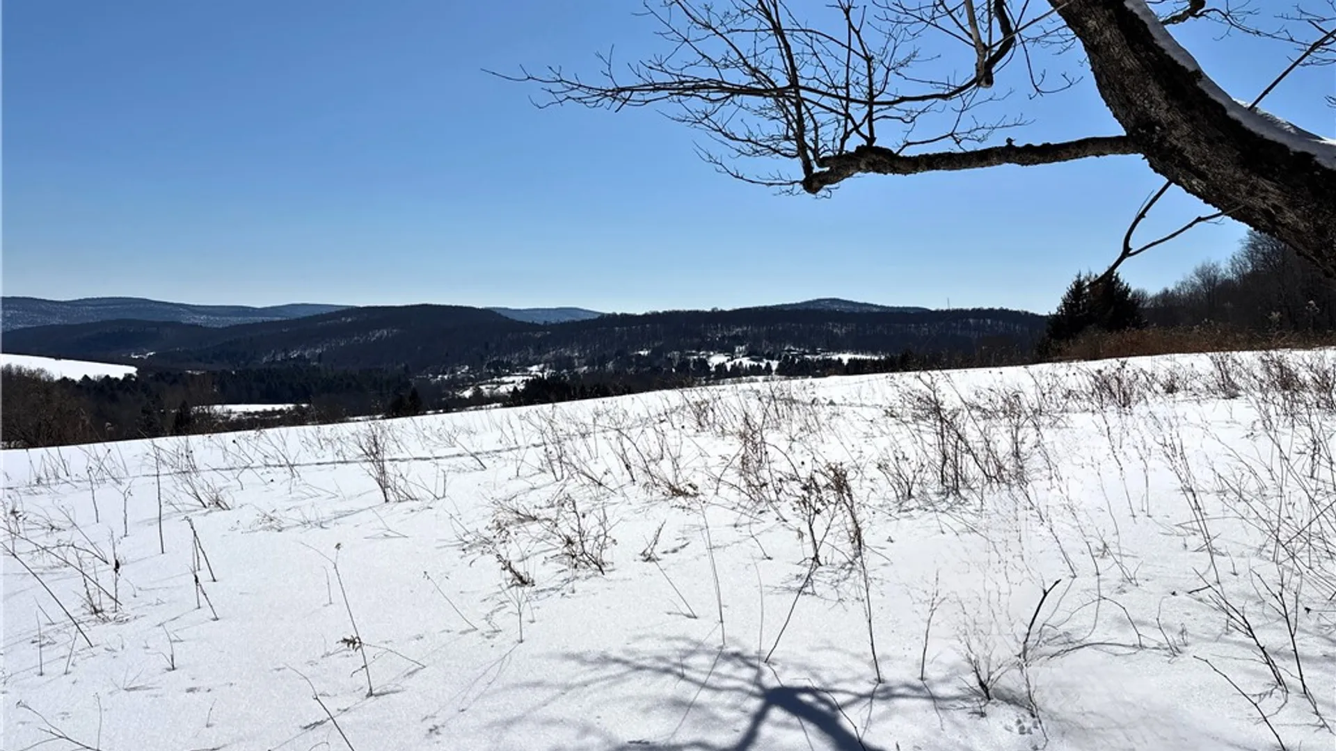 Property at Lot 42 Hamden Hill Road, Hamden, NY 13782 28