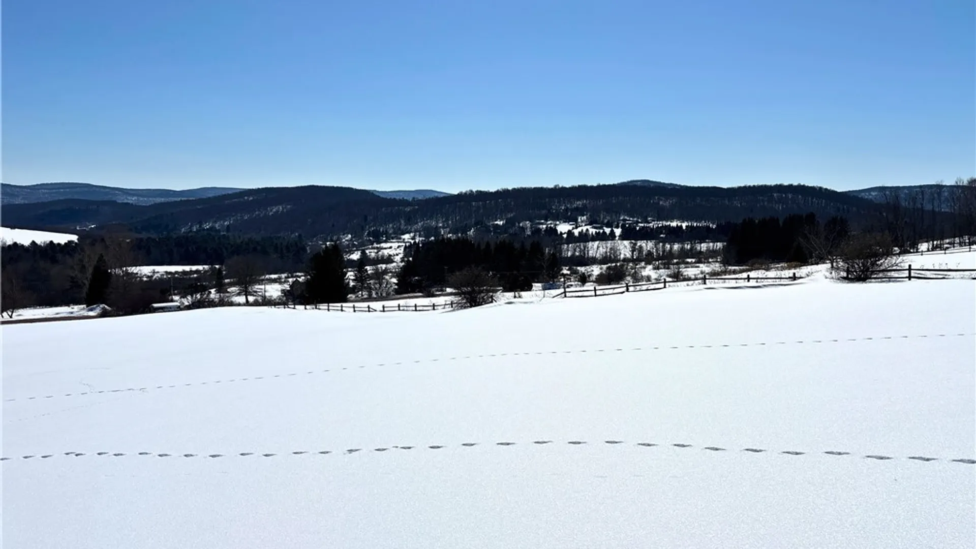 Property at Lot 42 Hamden Hill Road, Hamden, NY 13782 29