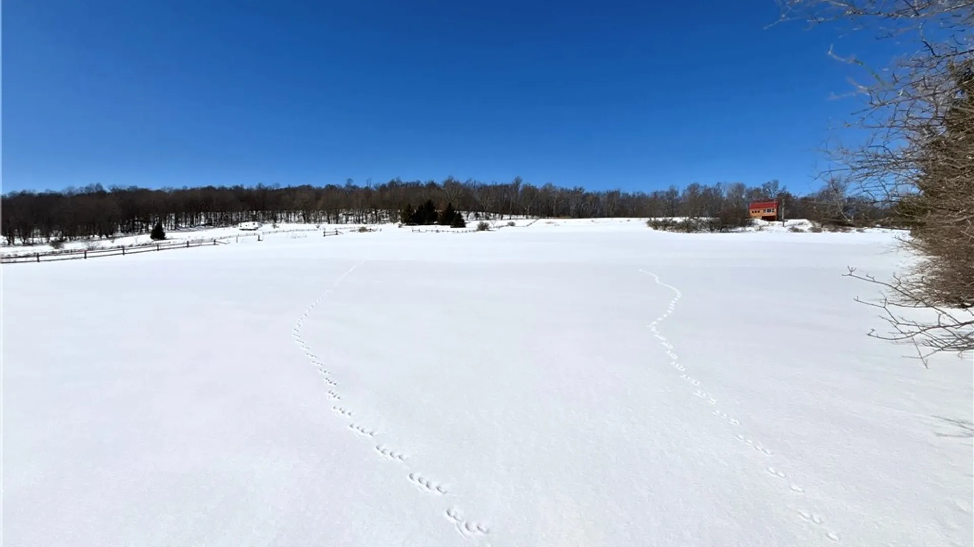 Property at Lot 42 Hamden Hill Road, Hamden, NY 13782 33