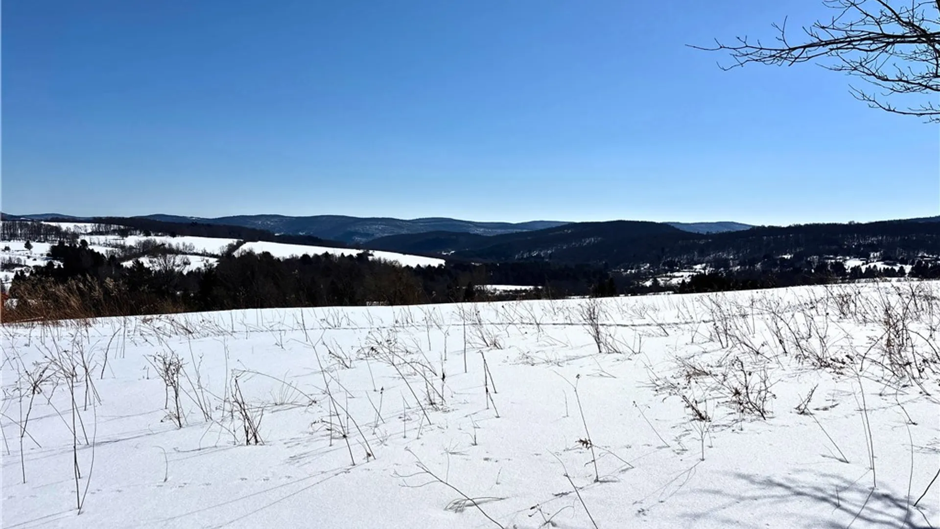 Property at Lot 42 Hamden Hill Road, Hamden, NY 13782 6