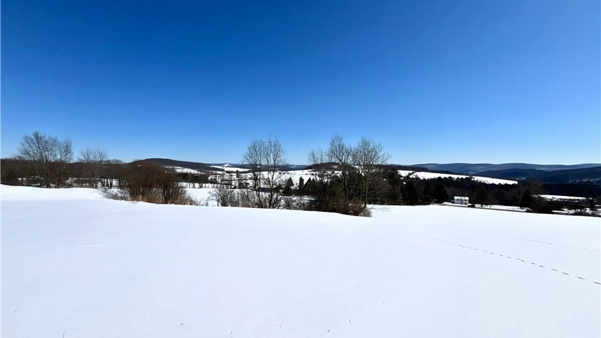 Property at Lot 42 Hamden Hill Road, Hamden, NY 13782 8