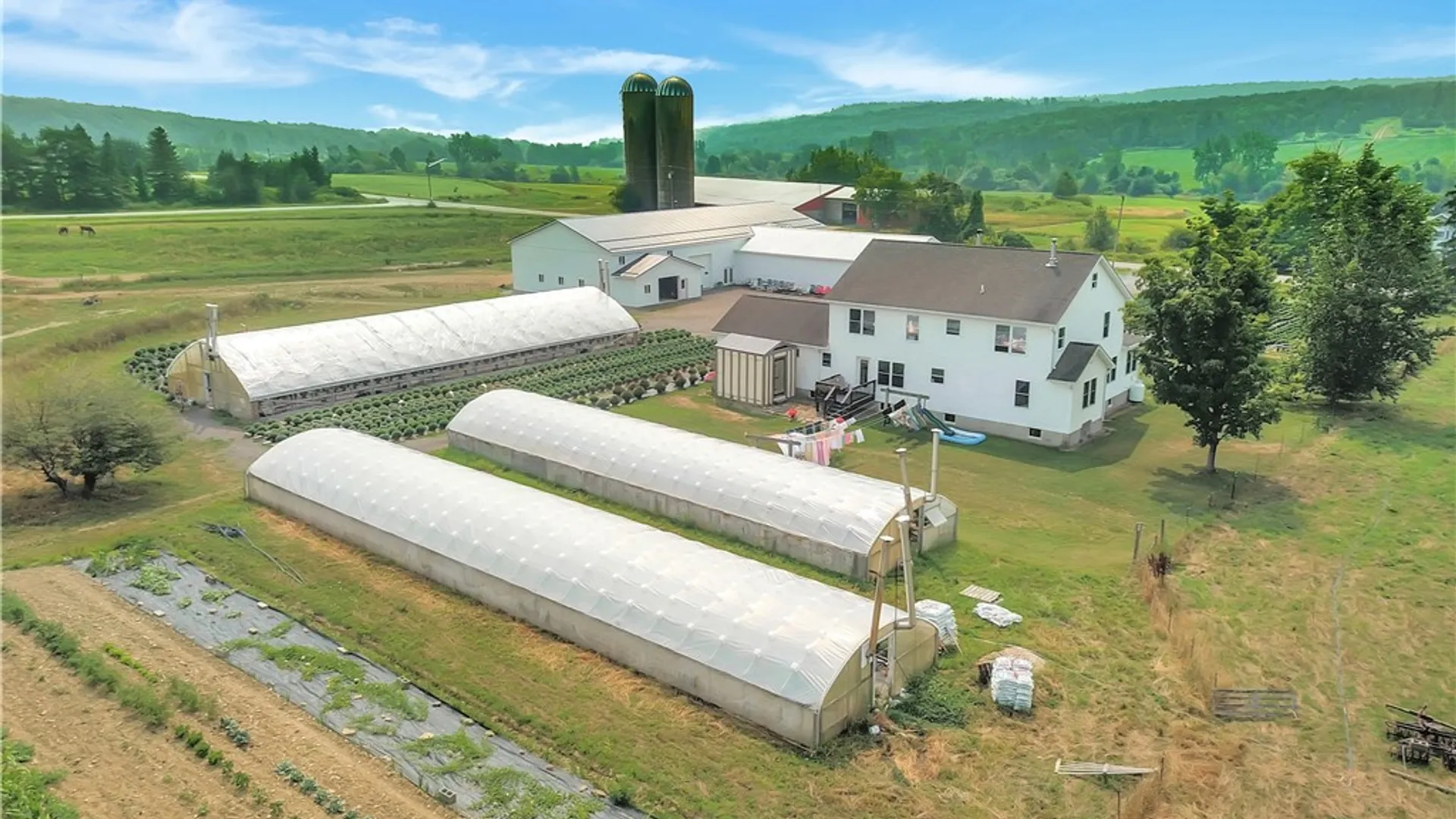 Property at 3919 Wing Street, Eagle, NY 14024 10