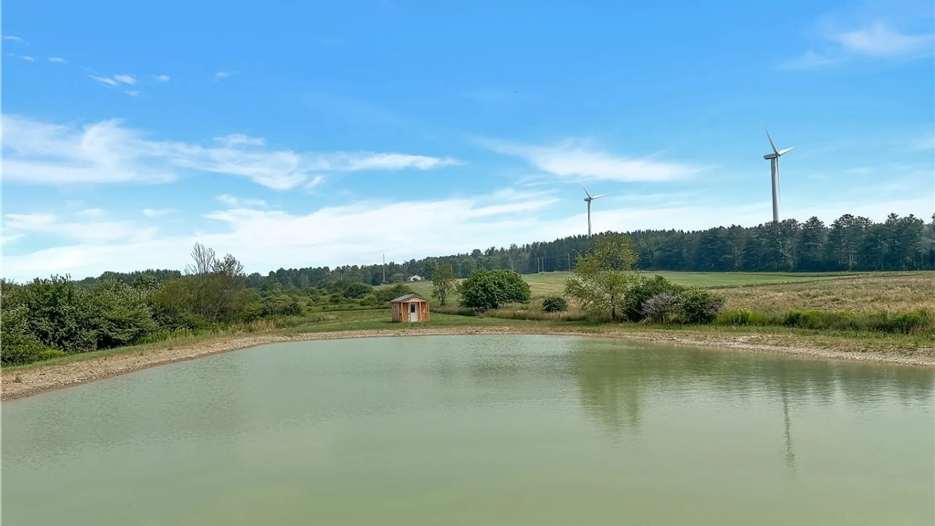 Property at 3919 Wing Street, Eagle, NY 14024 12