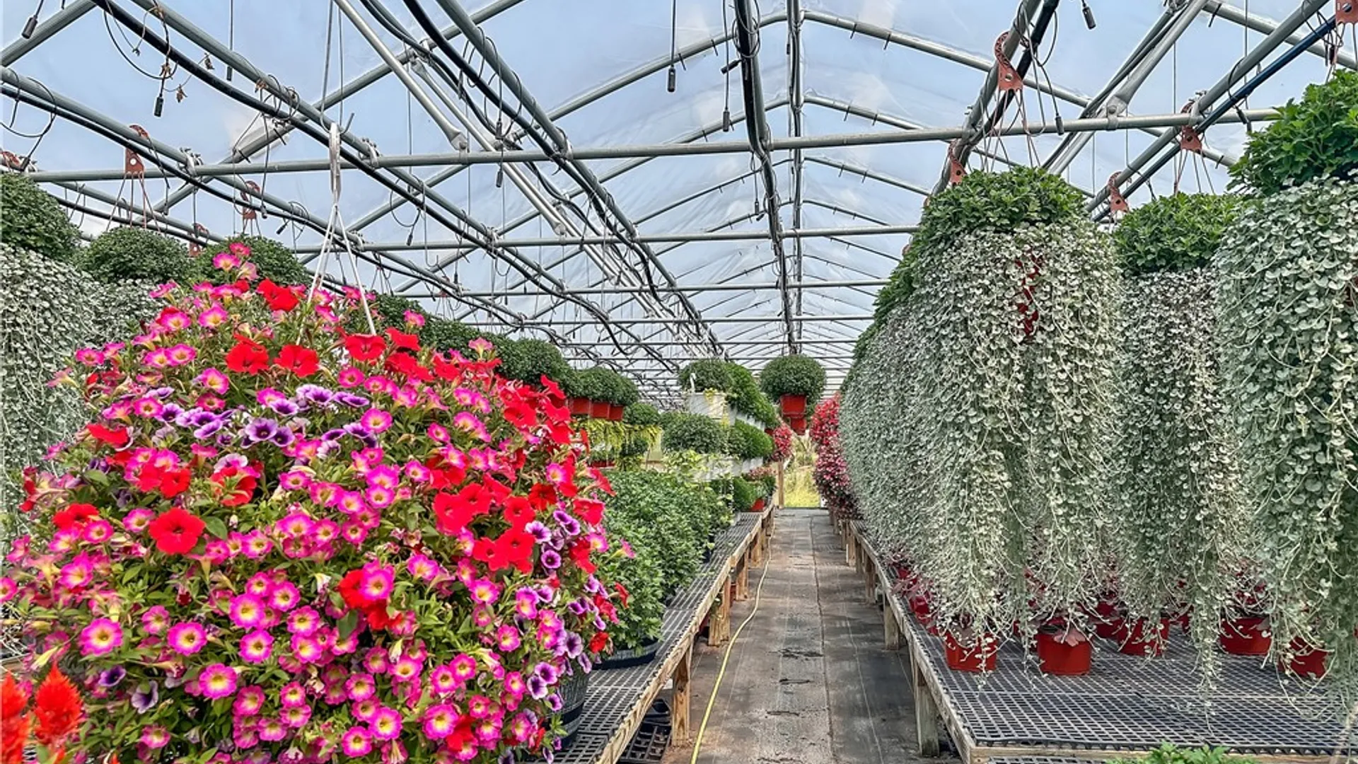 Property at 3919 Wing Street, Eagle, NY 14024 39