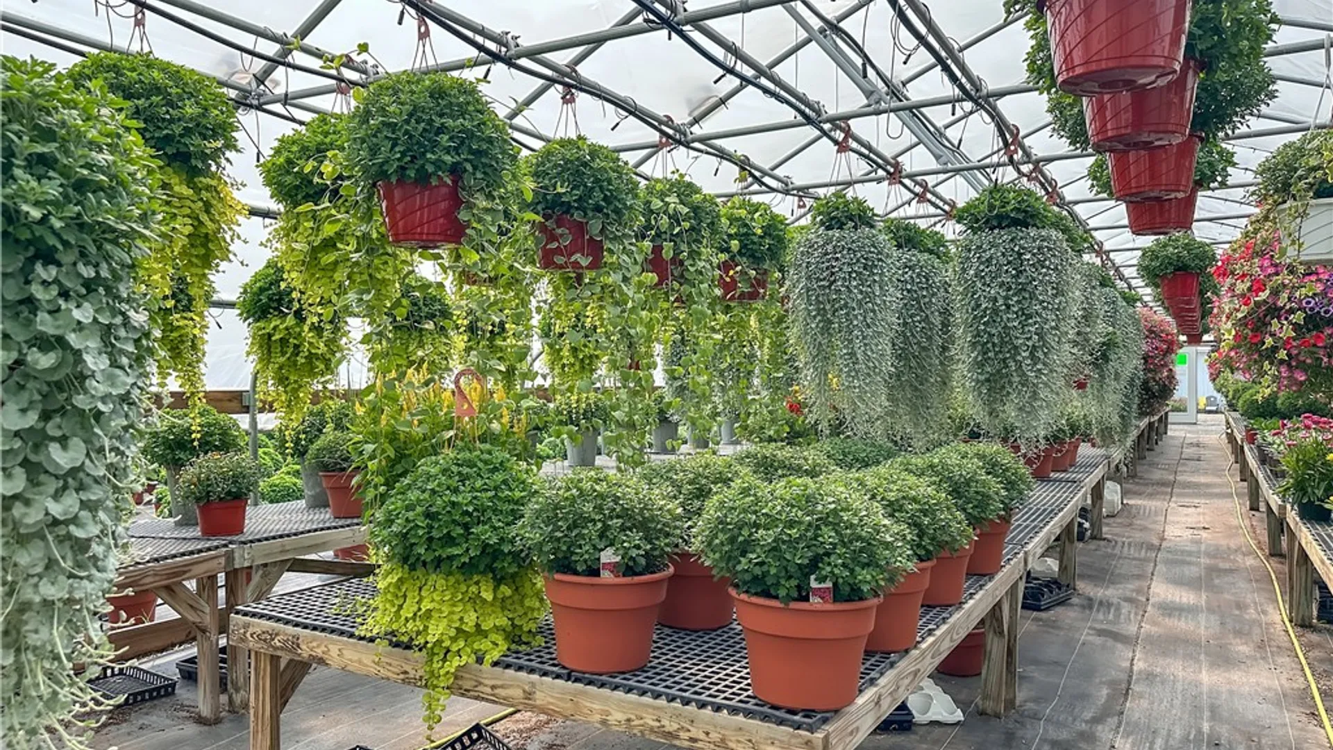 Property at 3919 Wing Street, Eagle, NY 14024 40