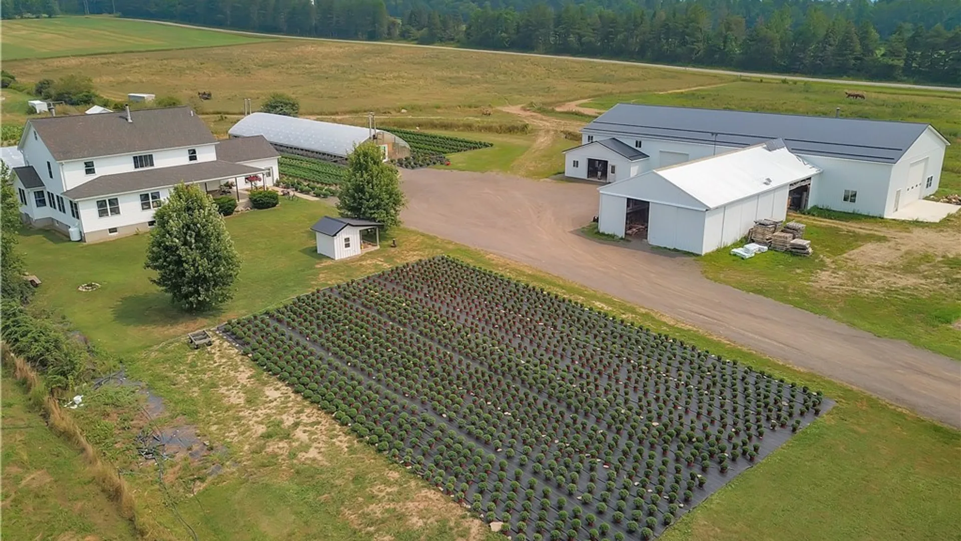 Property at 3919 Wing Street, Eagle, NY 14024 48