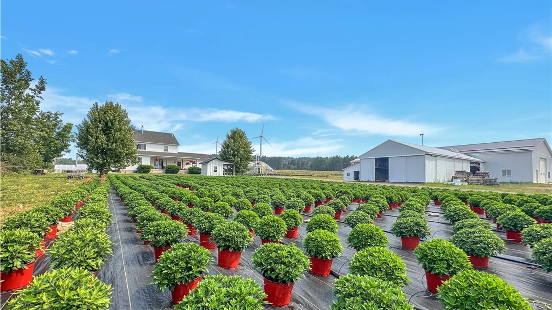 Property at 3919 Wing Street, Eagle, NY 14024 9