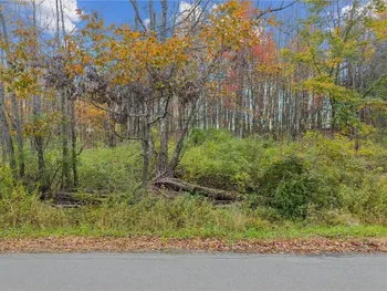 0 Dawson Hill Road, Spencer, NY 14883