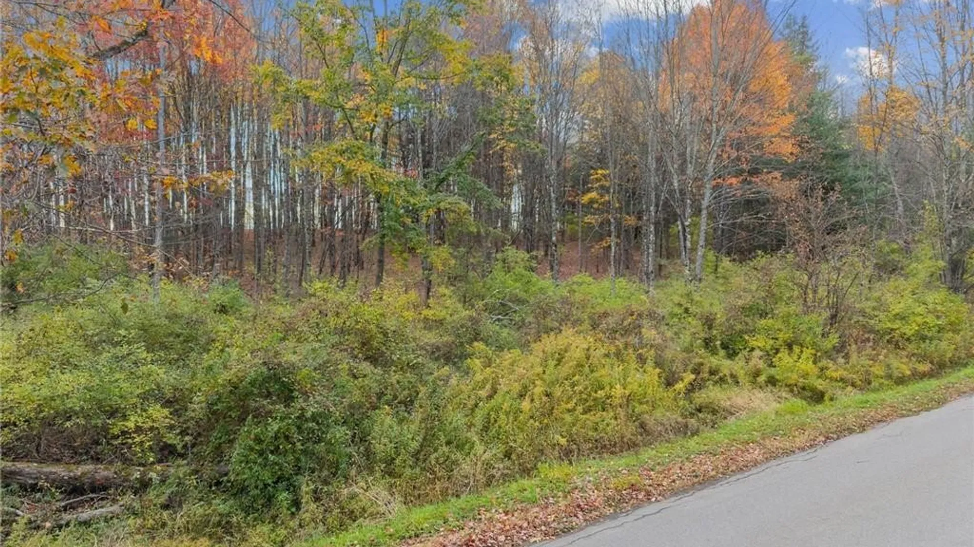 Property at 0 Dawson Hill Road, Spencer, NY 14883 2