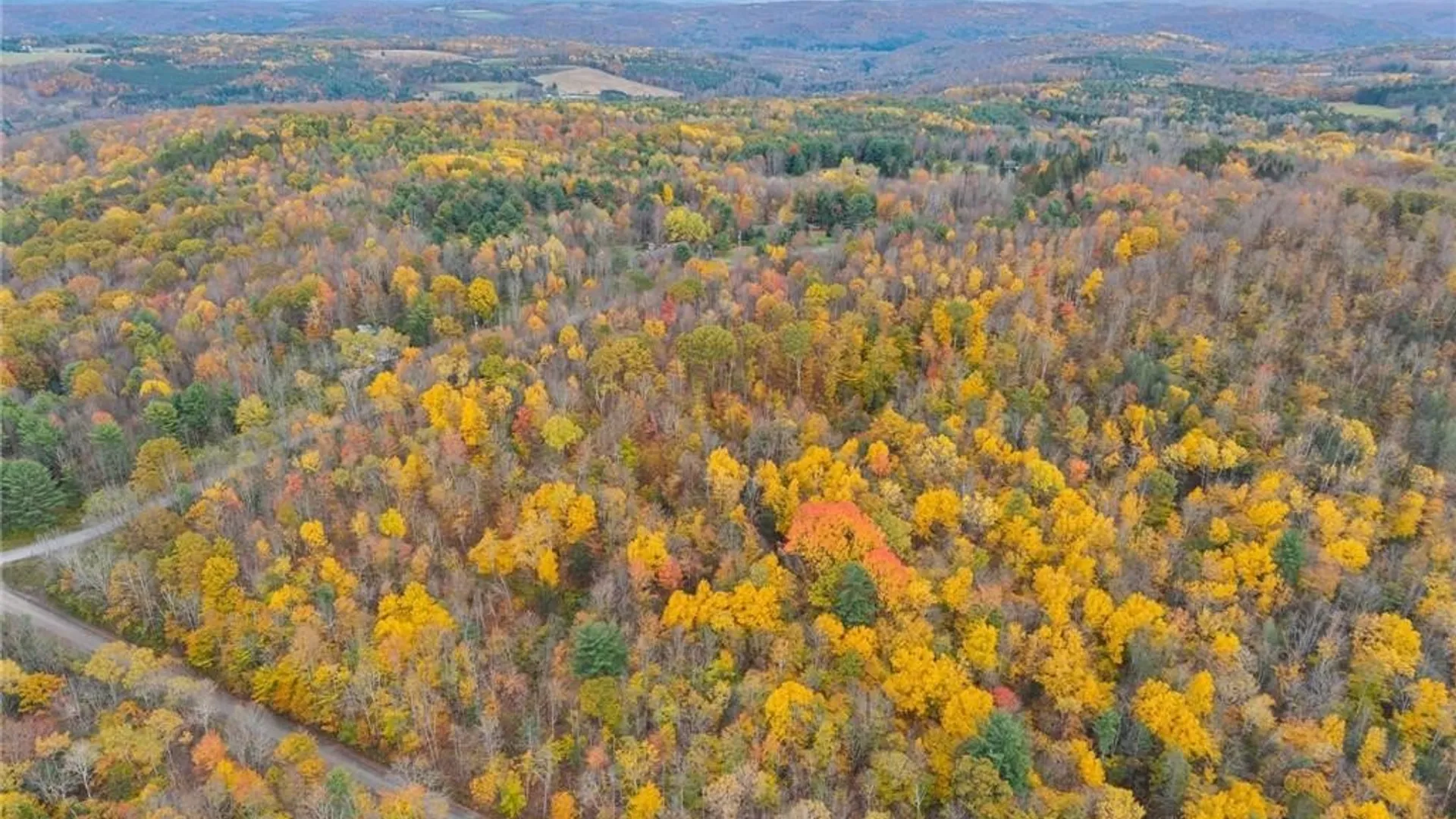 Property at 0 Dawson Hill Road, Spencer, NY 14883 8