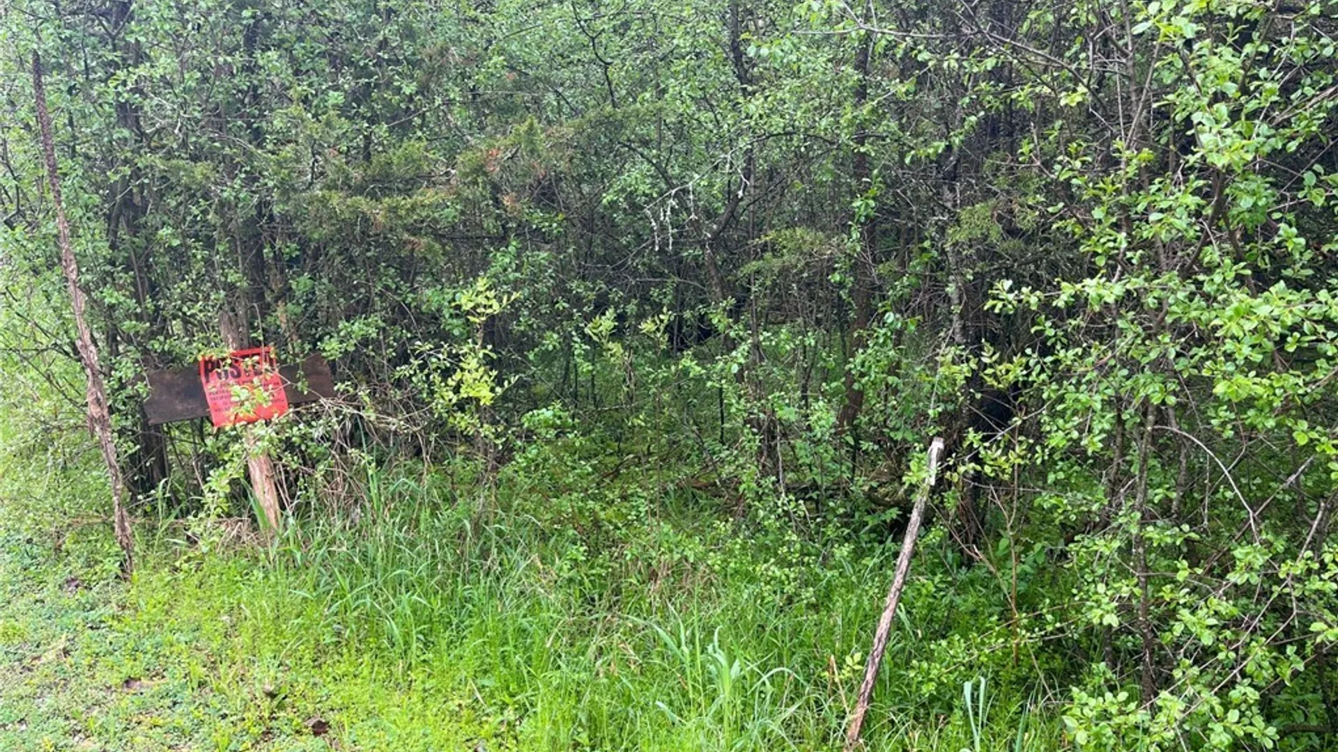 Property at 6310 Lasher Rd Ext 1, Henderson, NY 13650 12