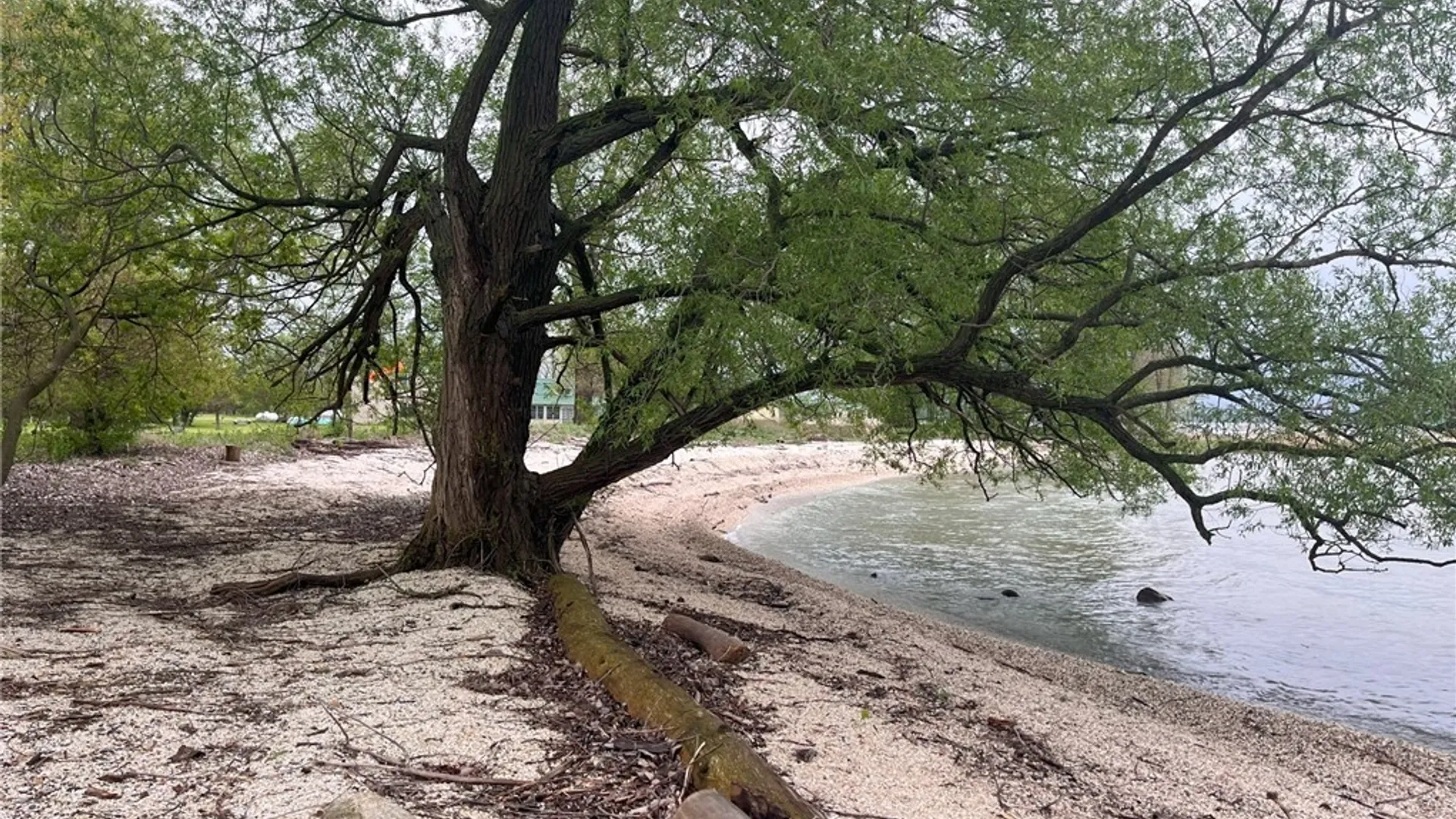 Property at 6310 Lasher Rd Ext 1, Henderson, NY 13650 3