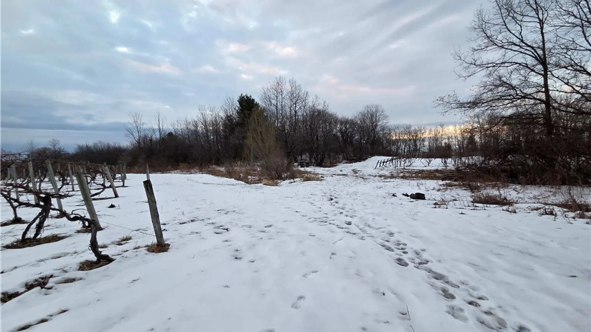 Property at Sutton Road, Jerusalem, NY 14527 10