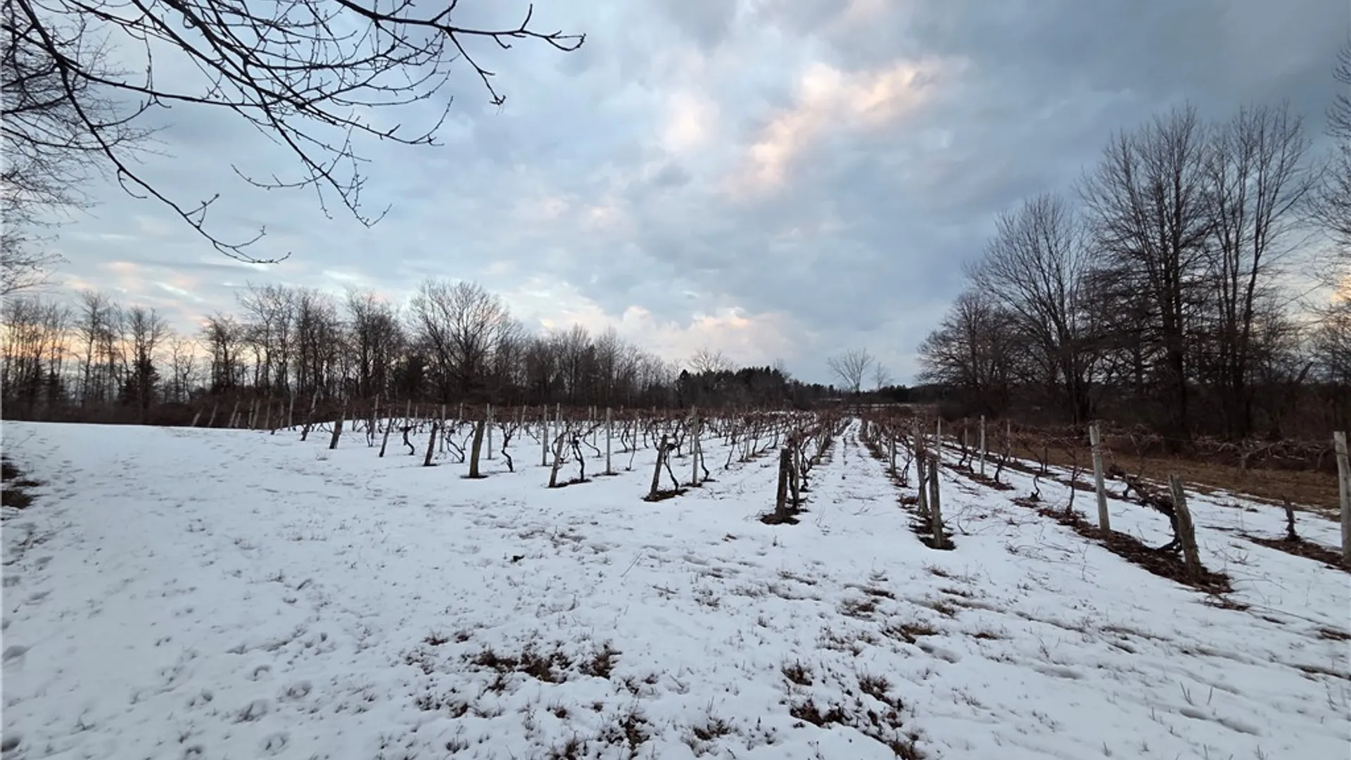 Property at Sutton Road, Jerusalem, NY 14527 11