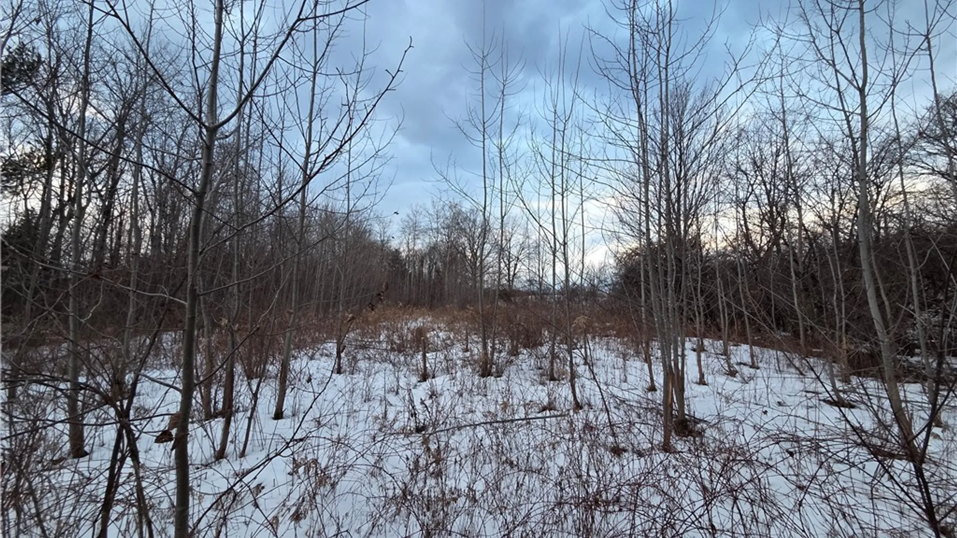 Property at Sutton Road, Jerusalem, NY 14527 14