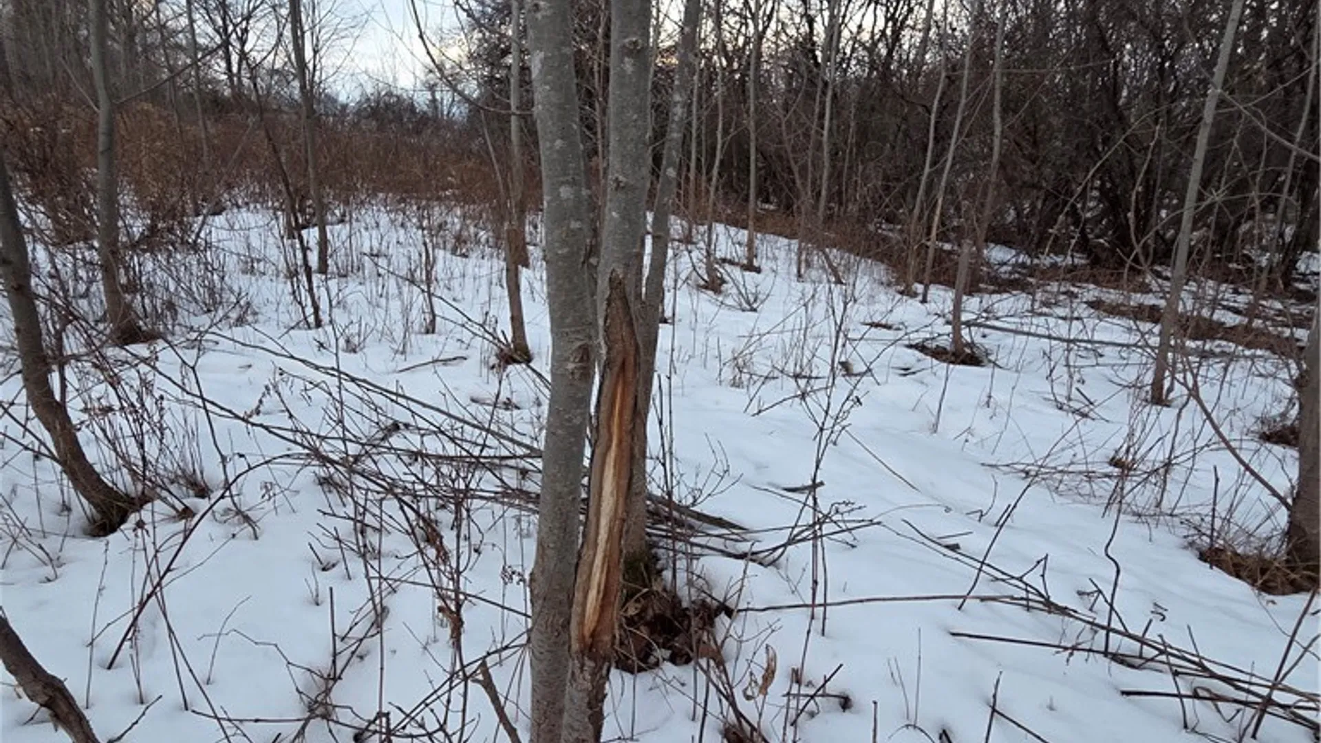 Property at Sutton Road, Jerusalem, NY 14527 15