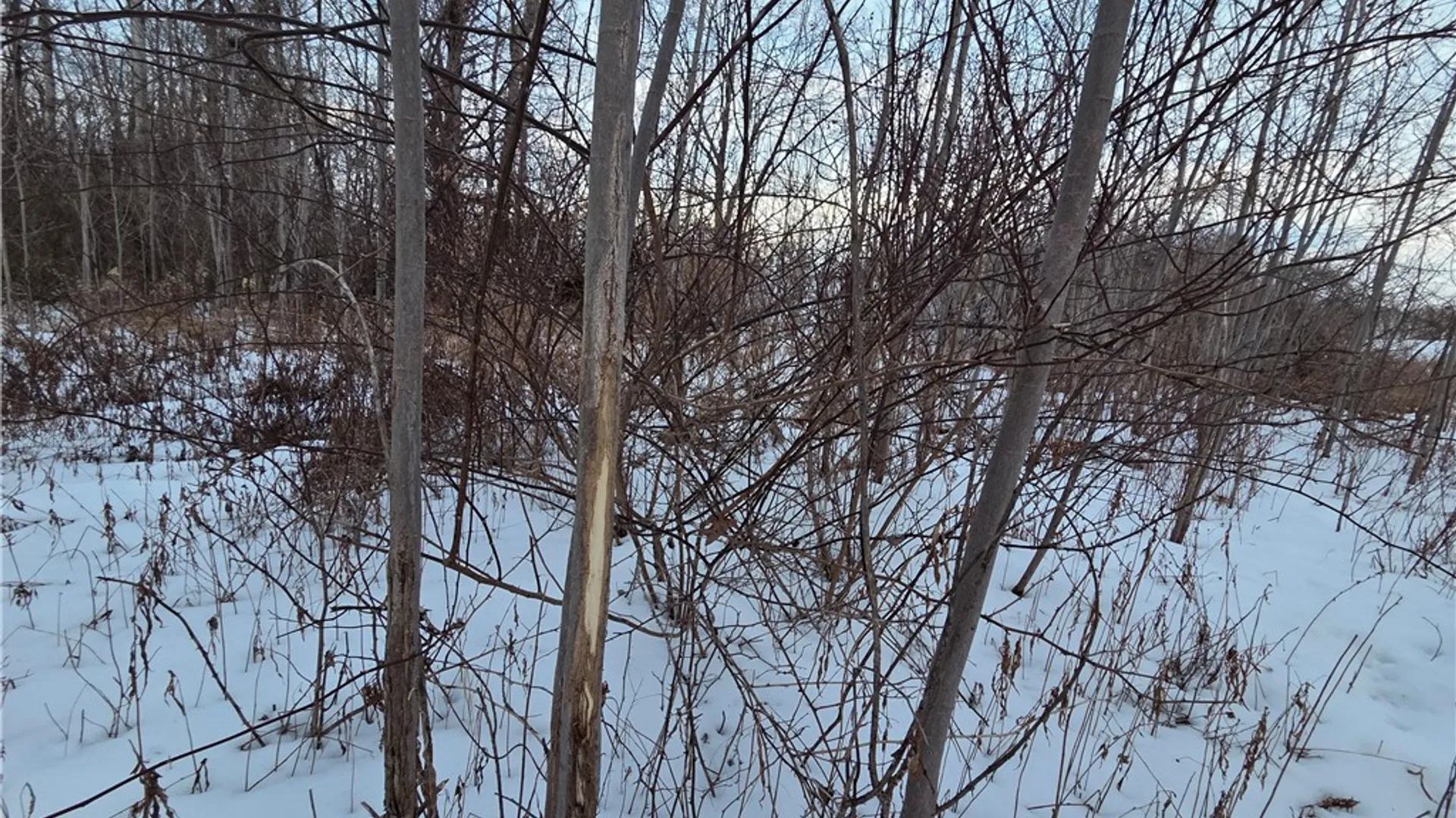 Property at Sutton Road, Jerusalem, NY 14527 16