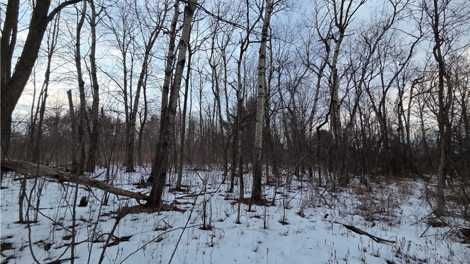 Property at Sutton Road, Jerusalem, NY 14527 17