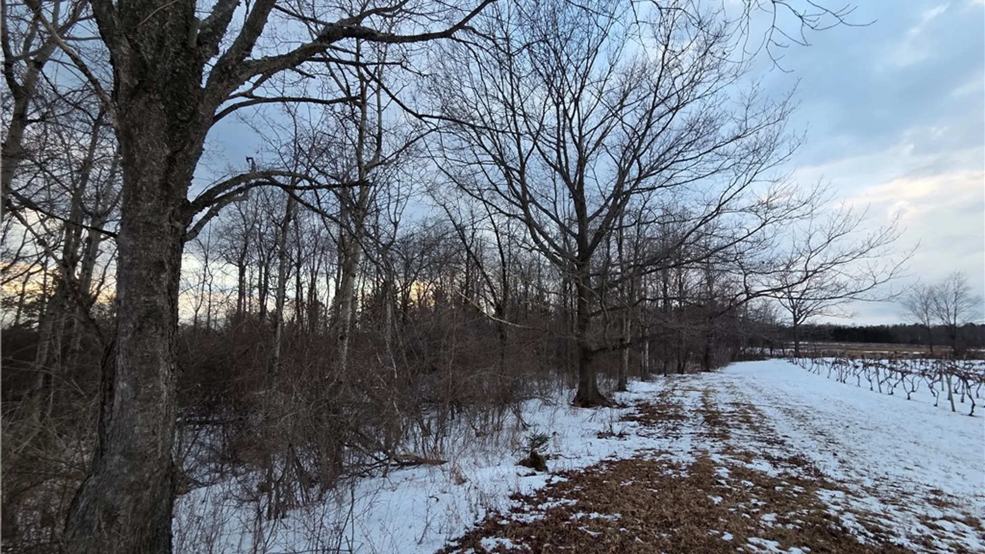 Property at Sutton Road, Jerusalem, NY 14527 19