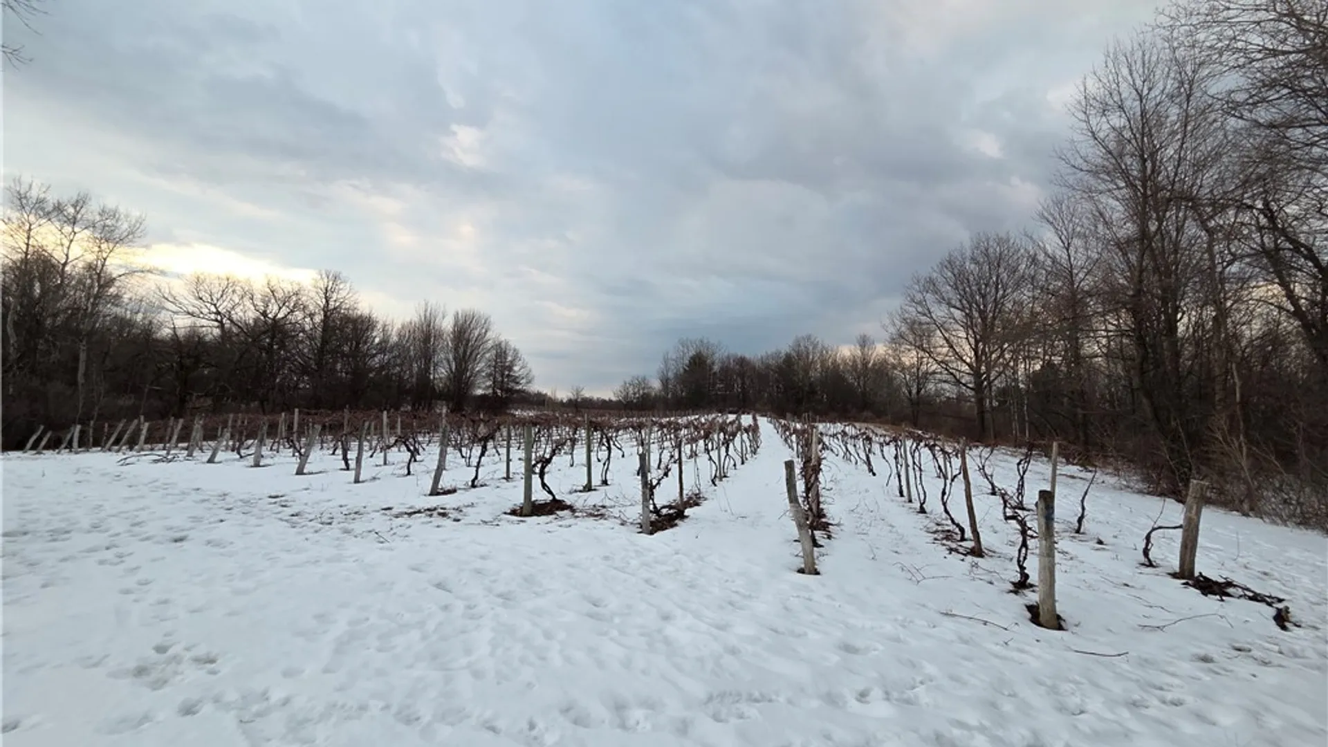 Property at Sutton Road, Jerusalem, NY 14527 20