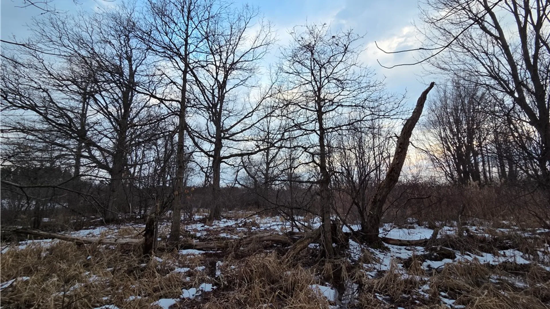 Property at Sutton Road, Jerusalem, NY 14527 22