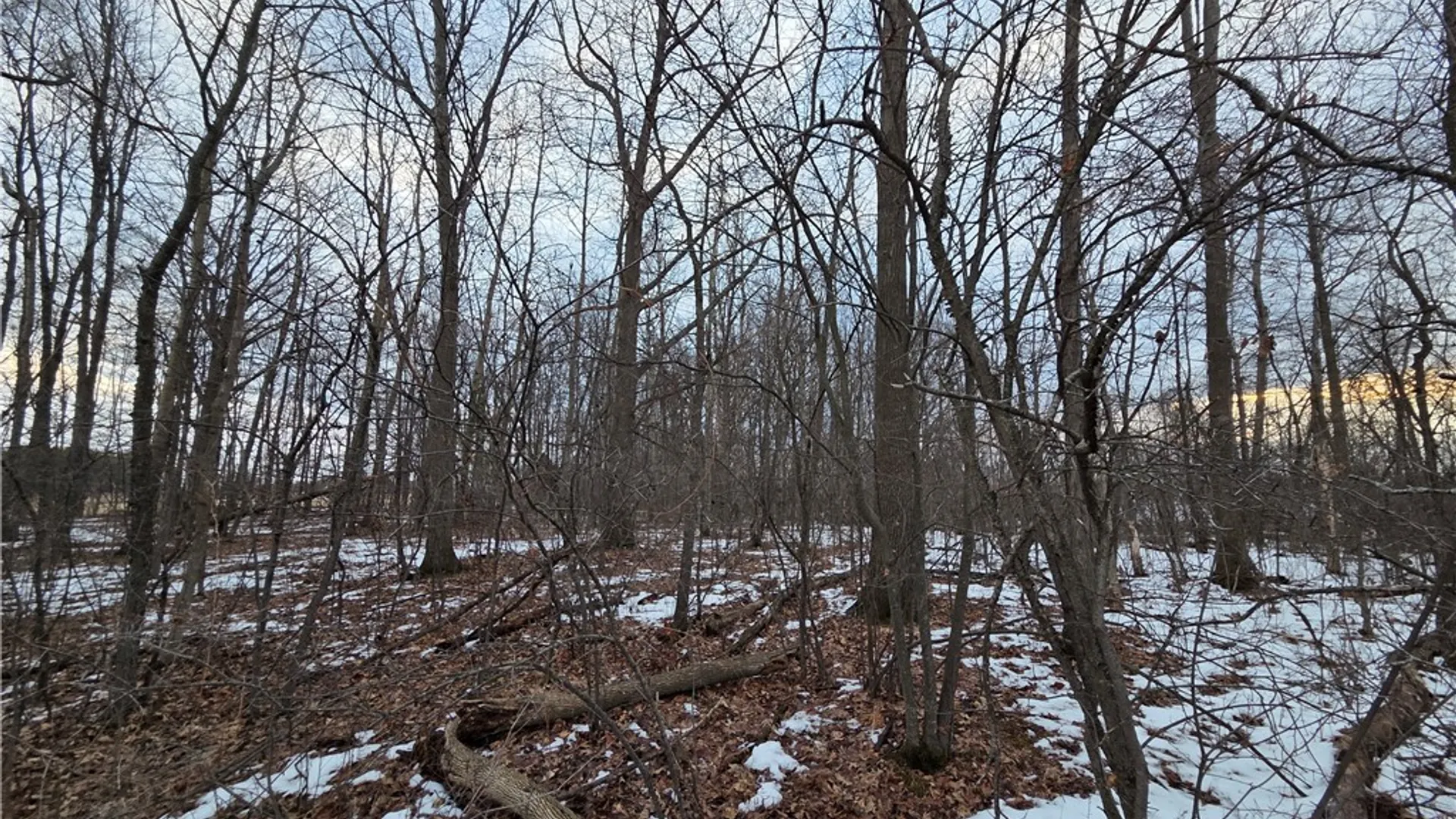 Property at Sutton Road, Jerusalem, NY 14527 23