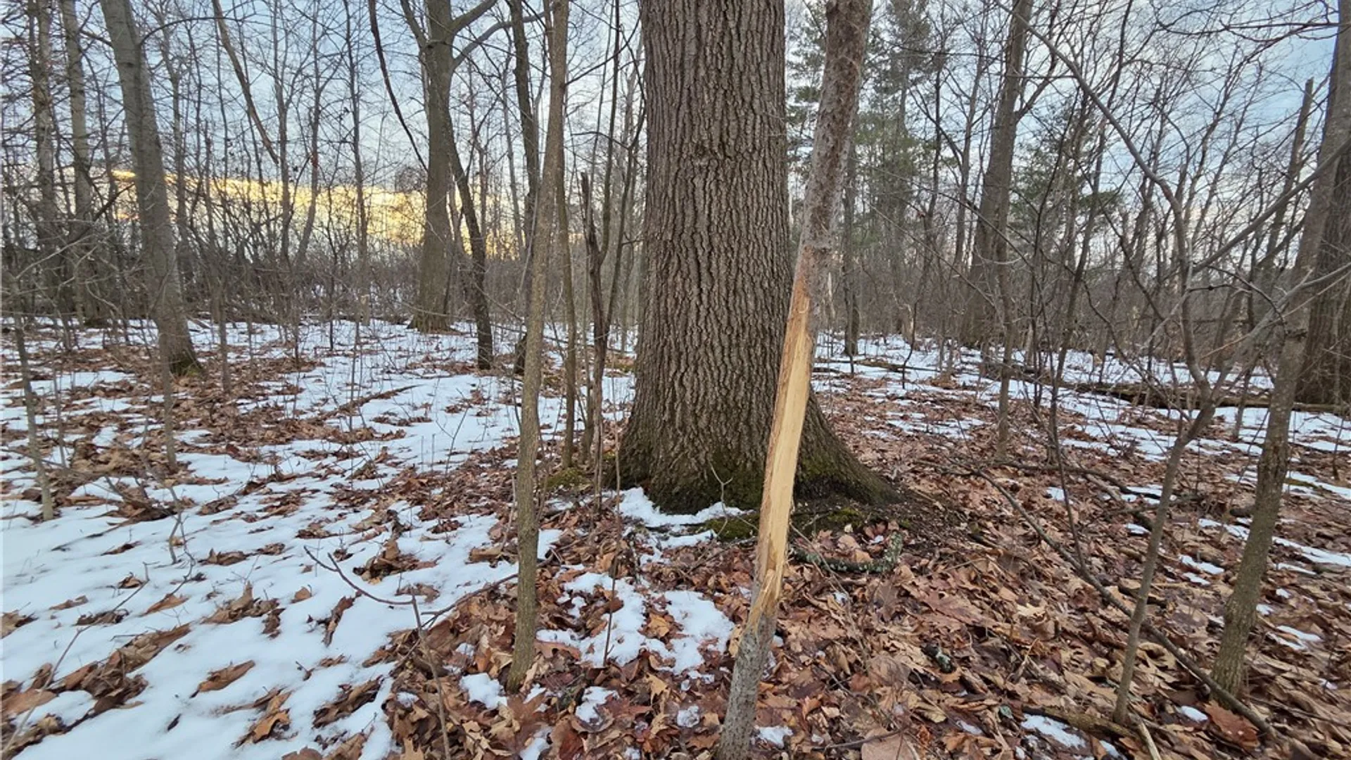 Property at Sutton Road, Jerusalem, NY 14527 25