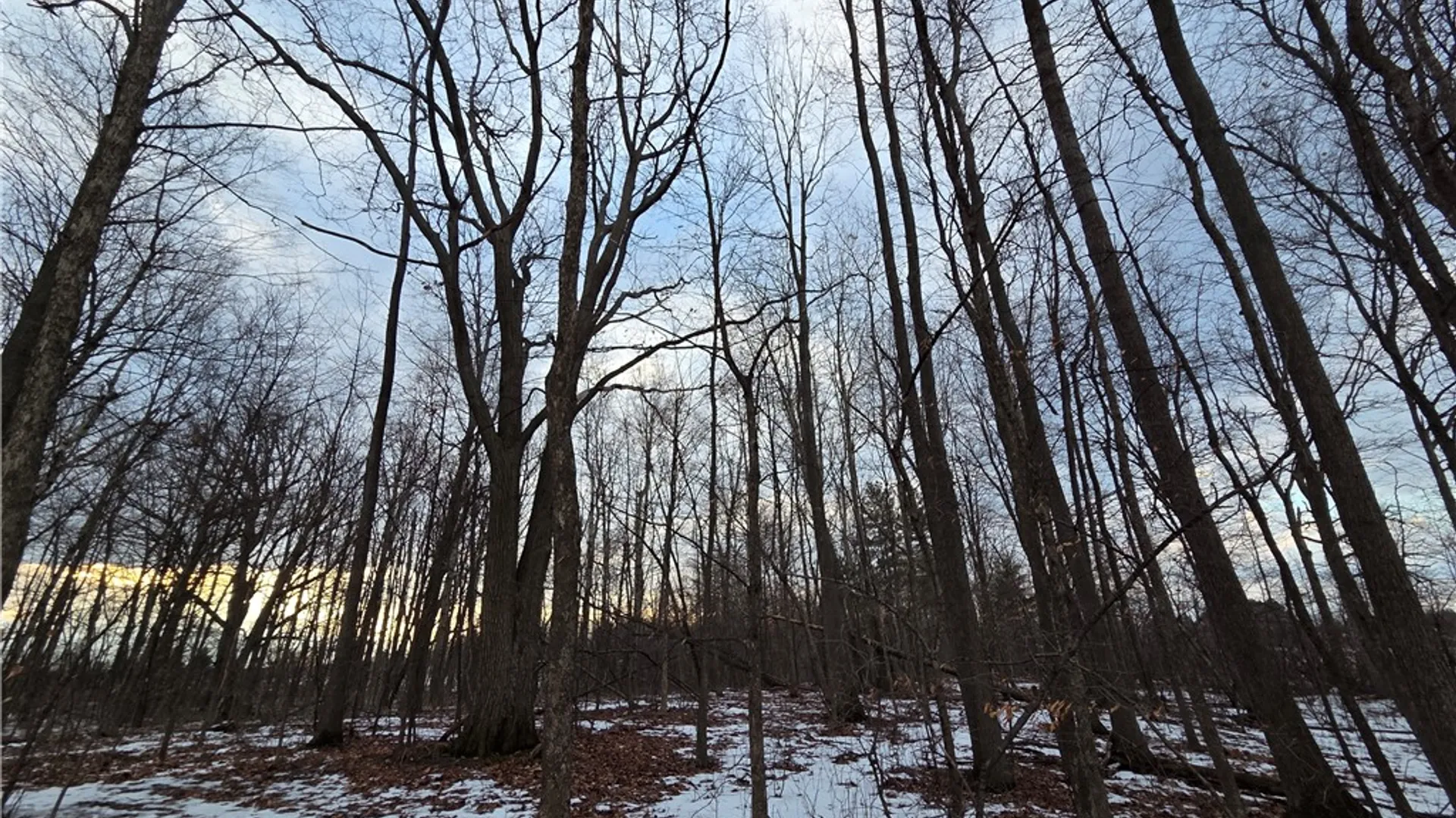 Property at Sutton Road, Jerusalem, NY 14527 28