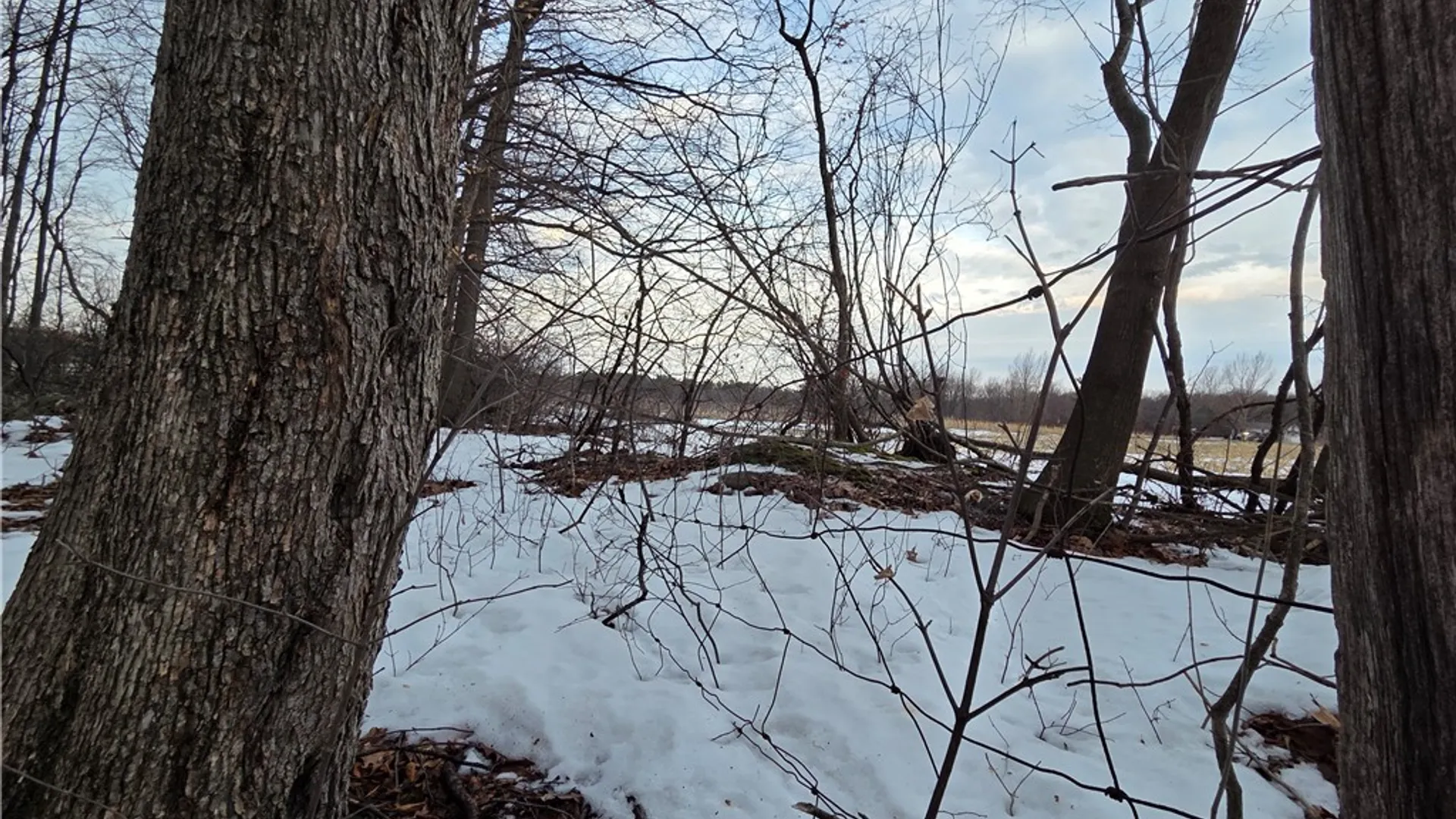 Property at Sutton Road, Jerusalem, NY 14527 29