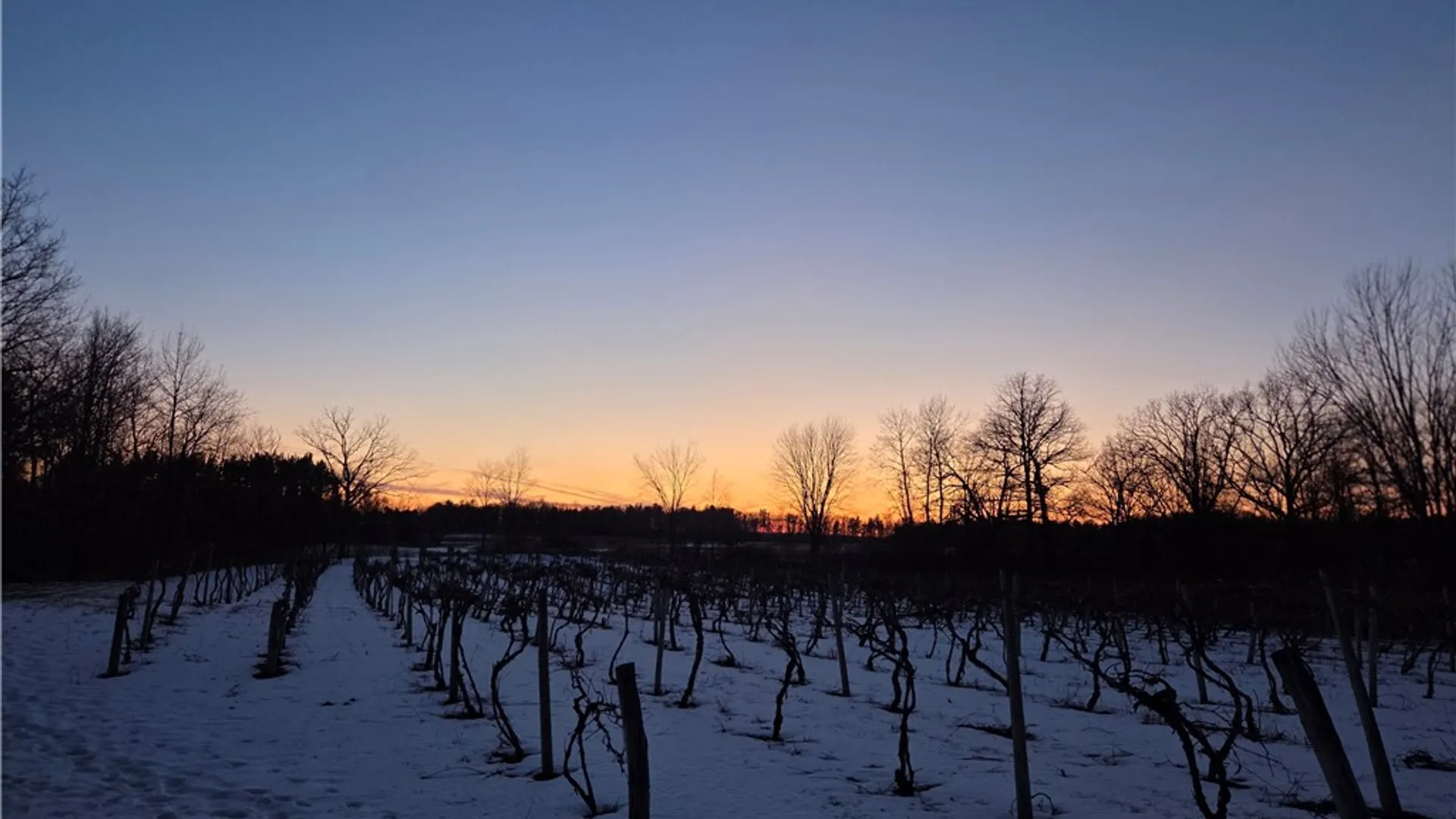 Property at Sutton Road, Jerusalem, NY 14527 3