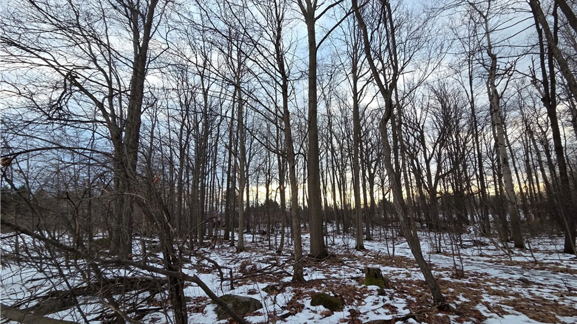 Property at Sutton Road, Jerusalem, NY 14527 30