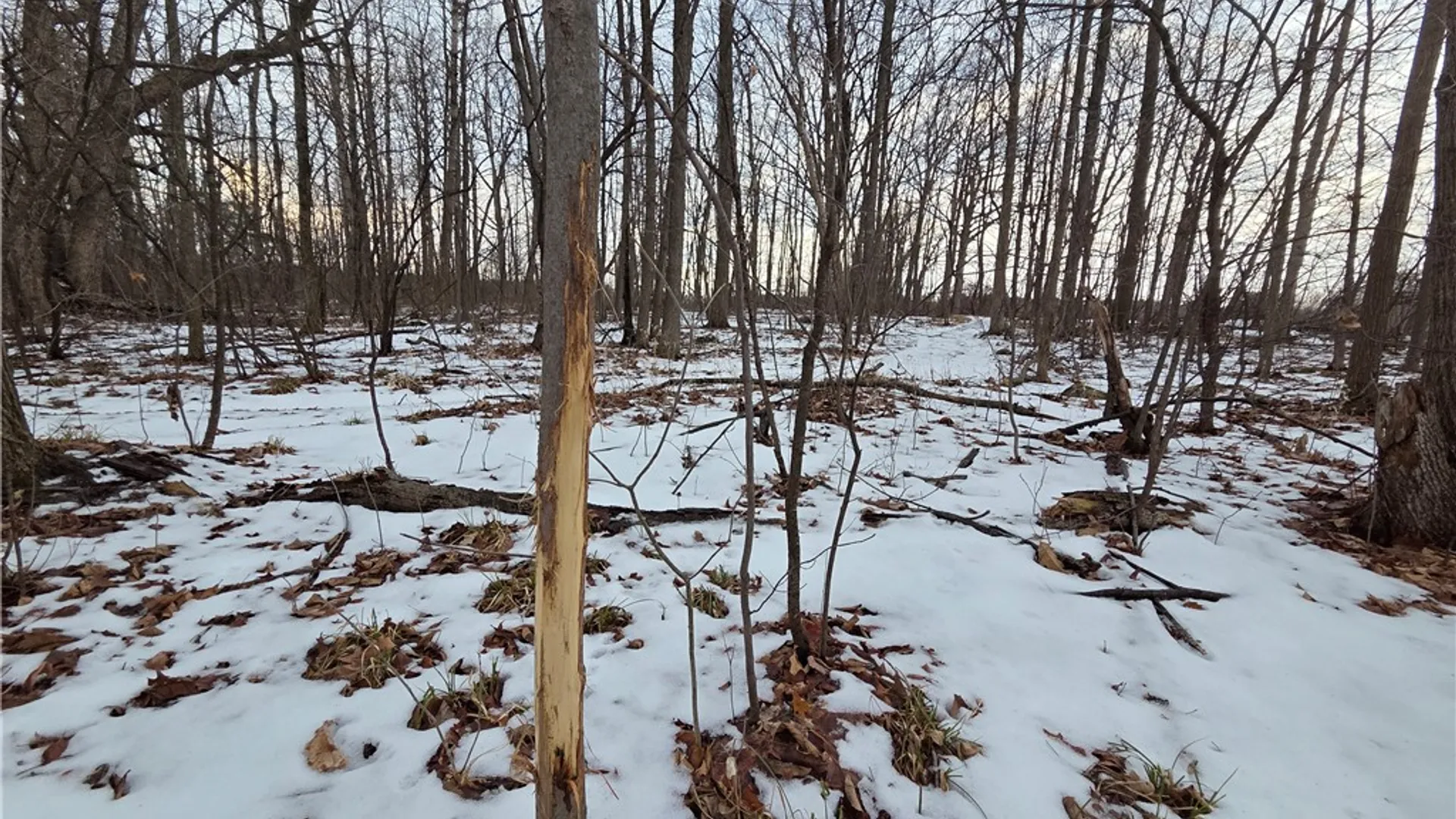 Property at Sutton Road, Jerusalem, NY 14527 31