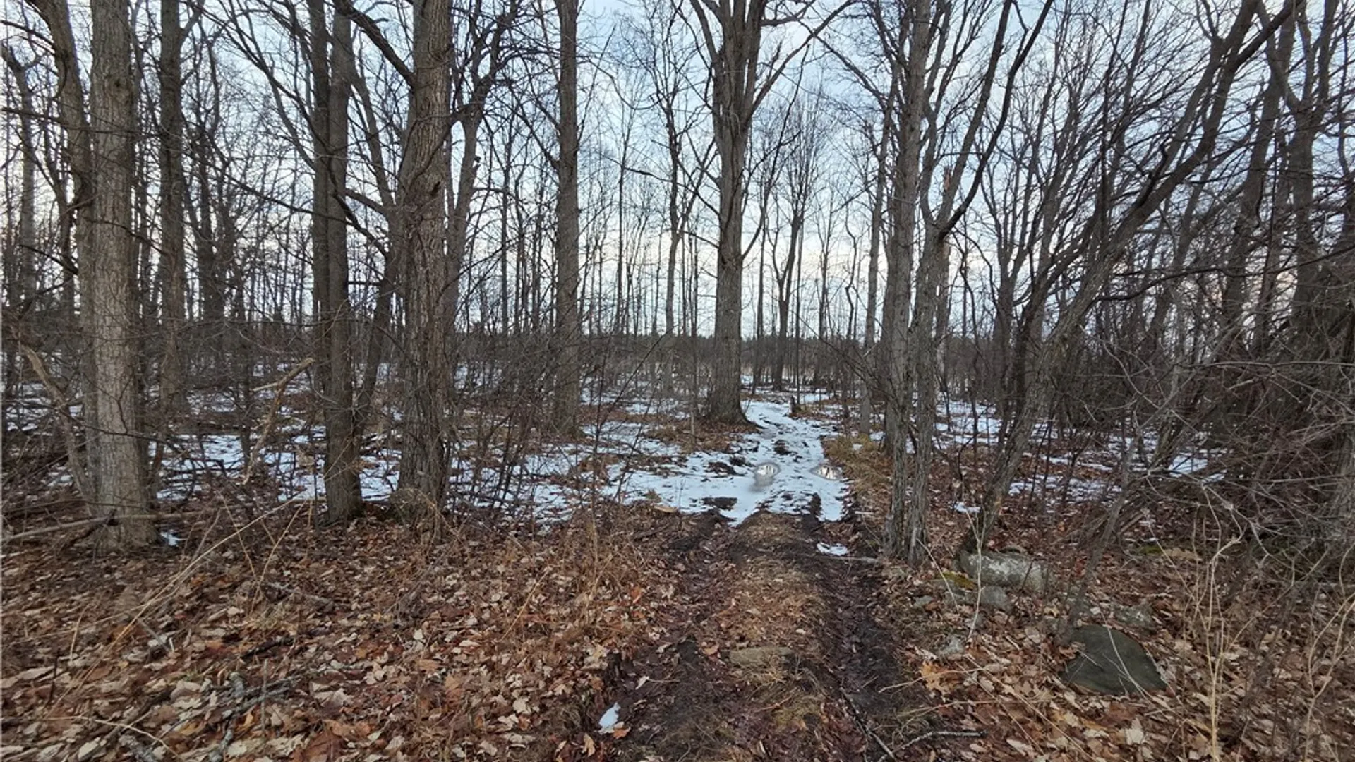 Property at Sutton Road, Jerusalem, NY 14527 33