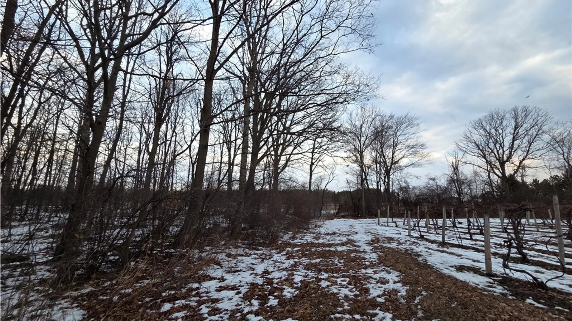 Property at Sutton Road, Jerusalem, NY 14527 35