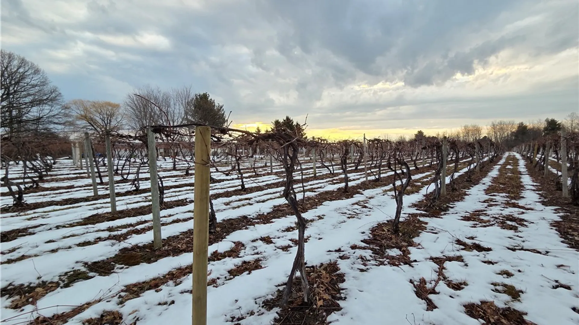 Property at Sutton Road, Jerusalem, NY 14527 36