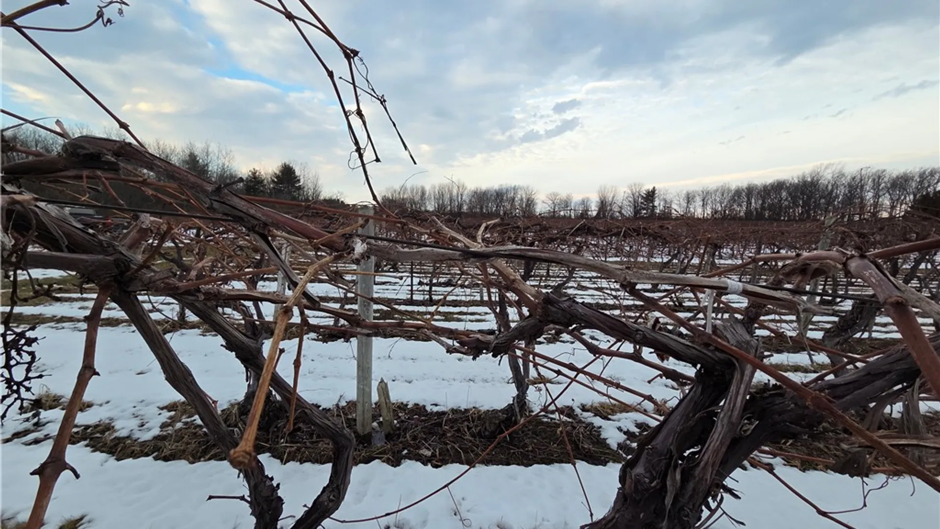 Property at Sutton Road, Jerusalem, NY 14527 38